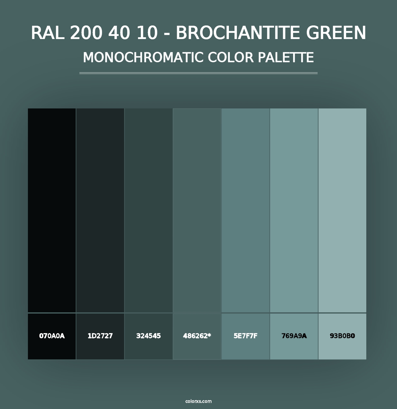 RAL 200 40 10 - Brochantite Green - Monochromatic Color Palette