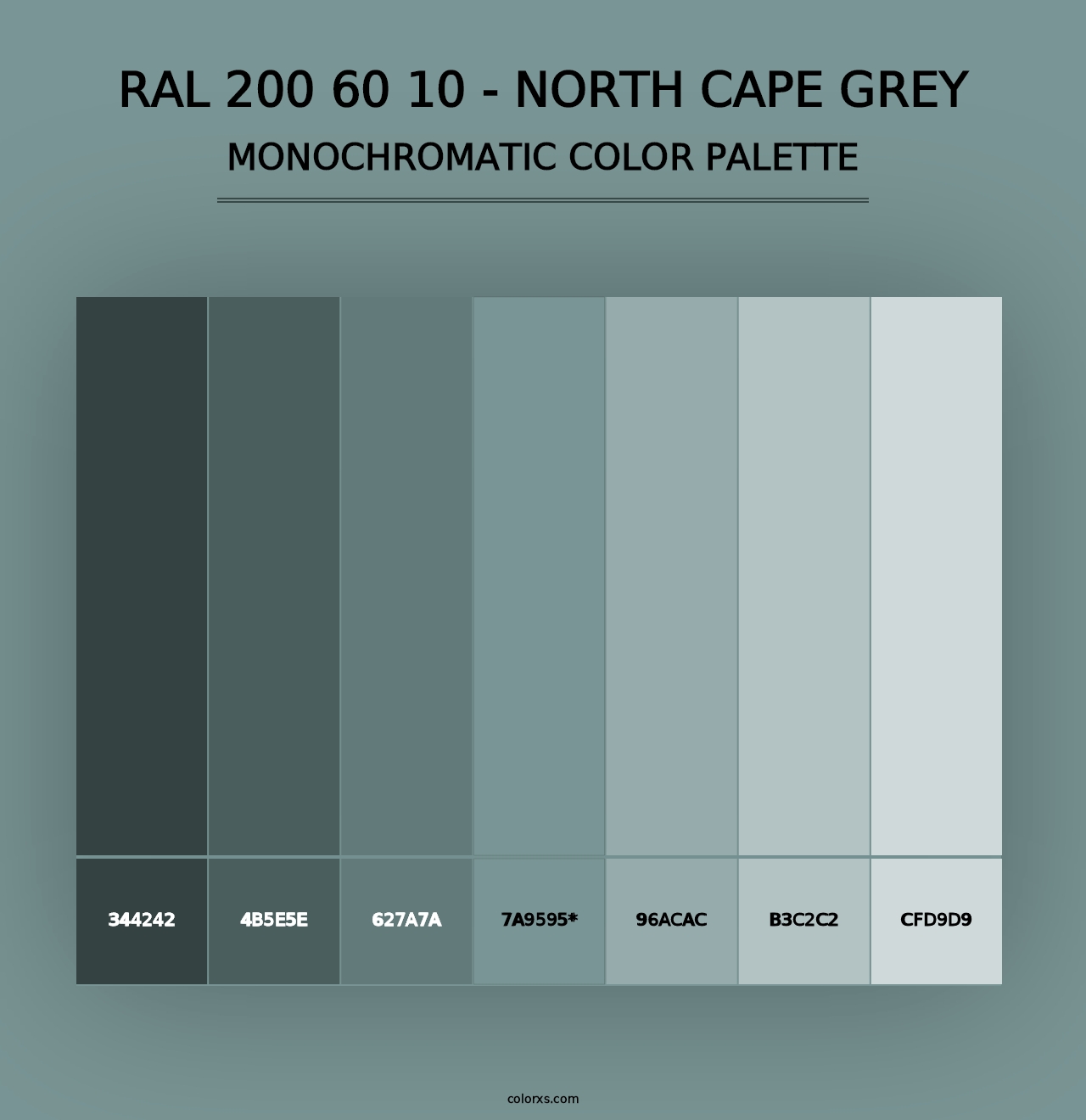 RAL 200 60 10 - North Cape Grey - Monochromatic Color Palette