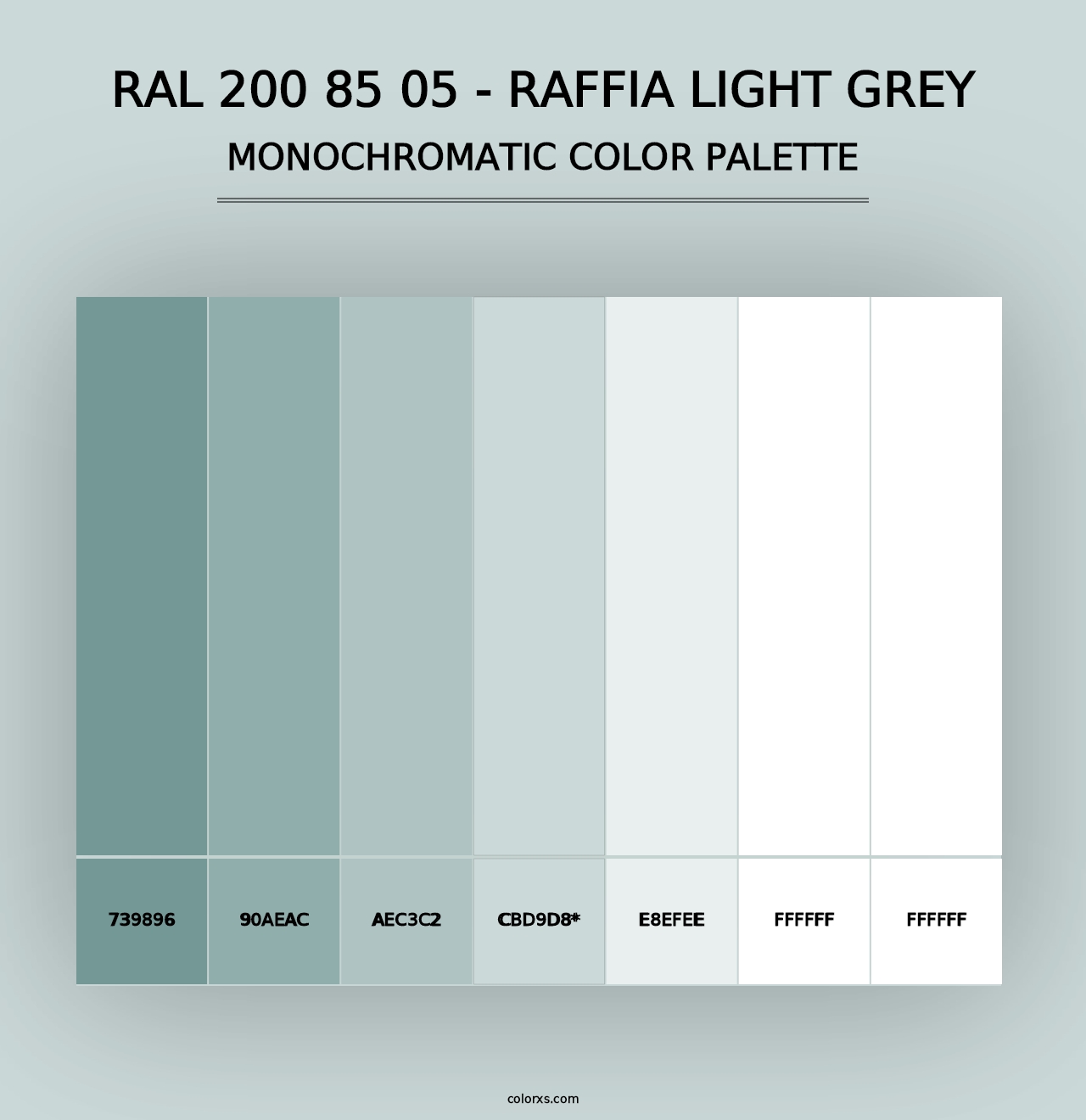 RAL 200 85 05 - Raffia Light Grey - Monochromatic Color Palette