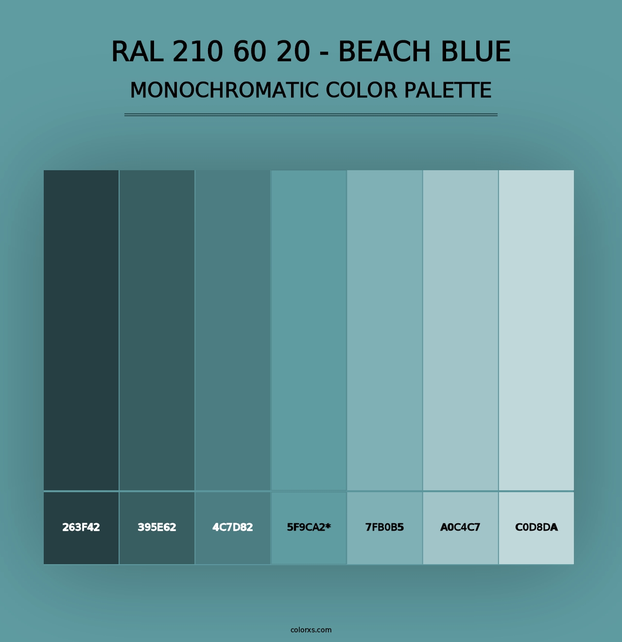 RAL 210 60 20 - Beach Blue - Monochromatic Color Palette