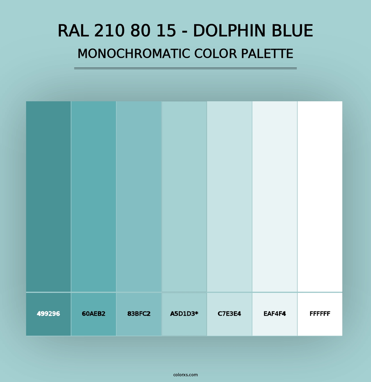 RAL 210 80 15 - Dolphin Blue - Monochromatic Color Palette