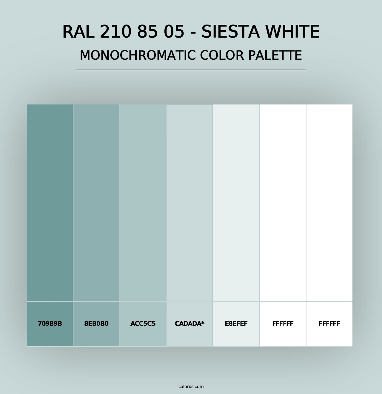 RAL 210 85 05 - Siesta White - Monochromatic Color Palette