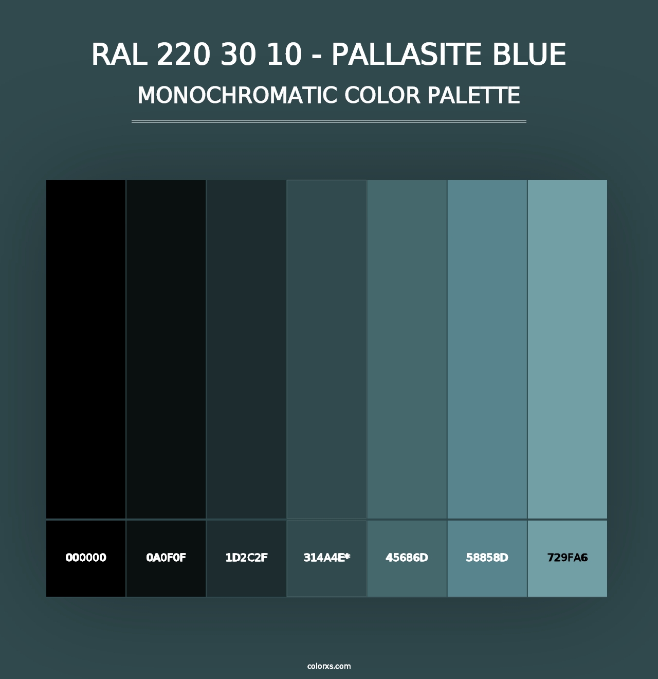 RAL 220 30 10 - Pallasite Blue - Monochromatic Color Palette