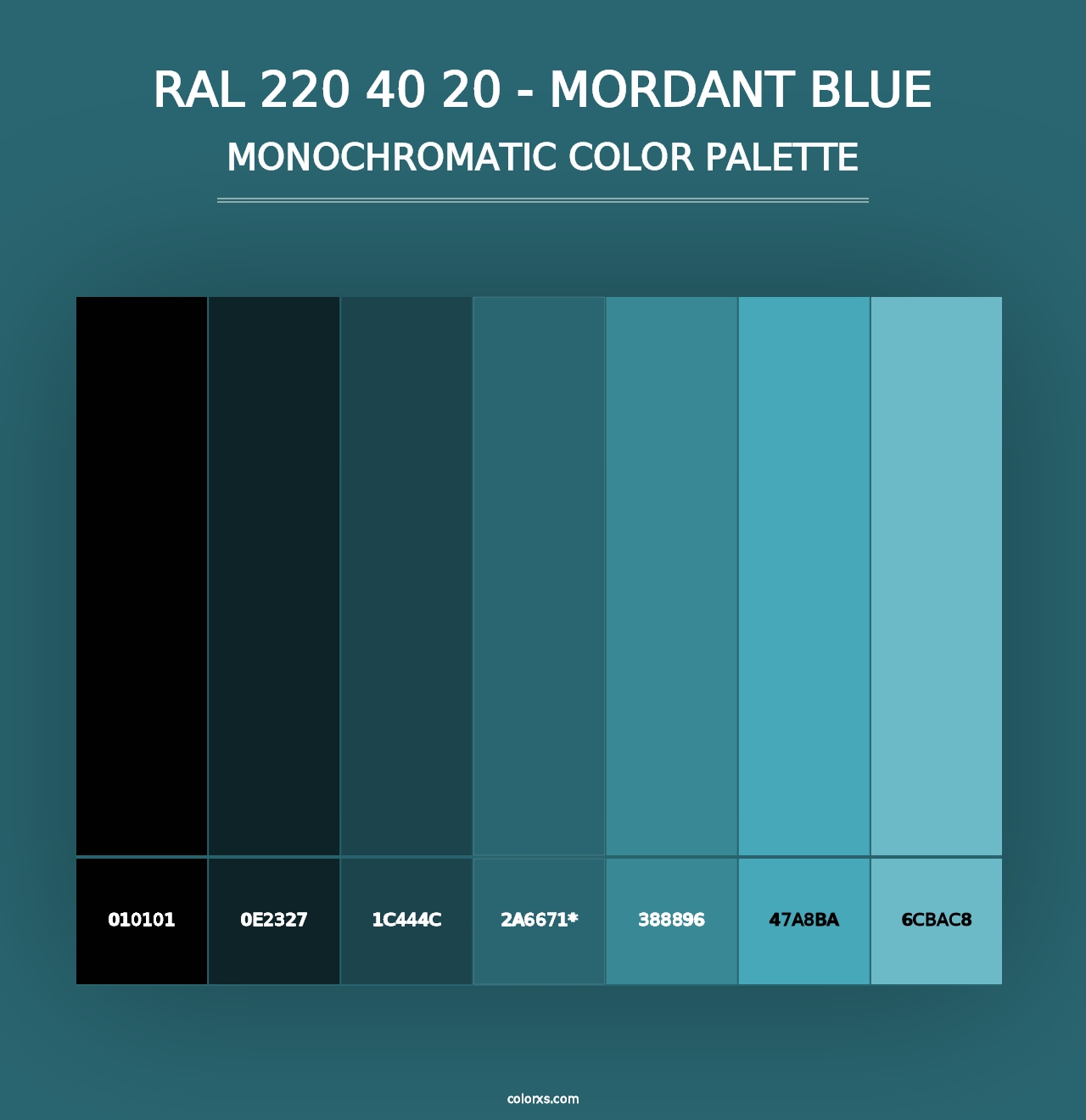 RAL 220 40 20 - Mordant Blue - Monochromatic Color Palette