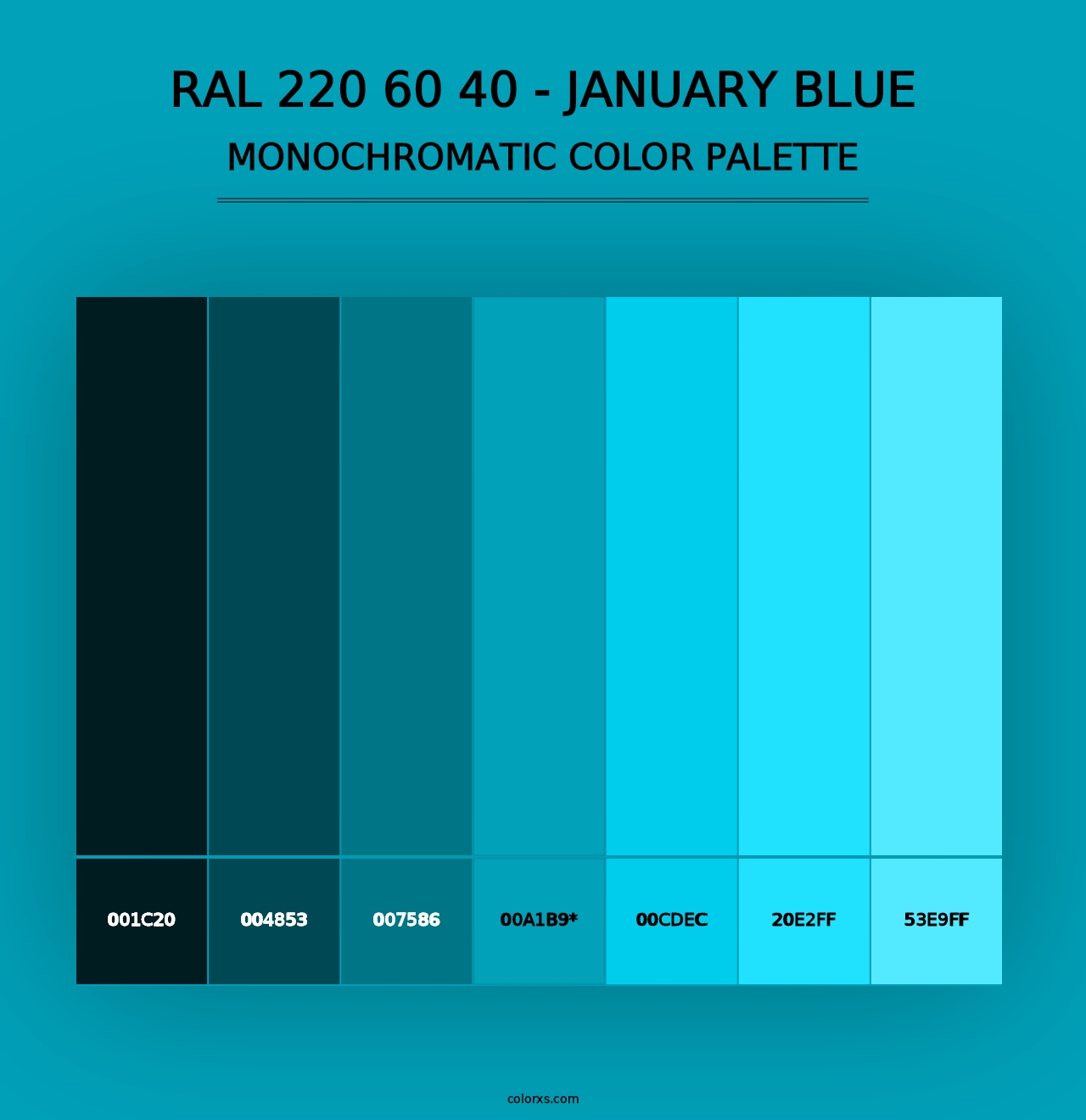 RAL 220 60 40 - January Blue - Monochromatic Color Palette