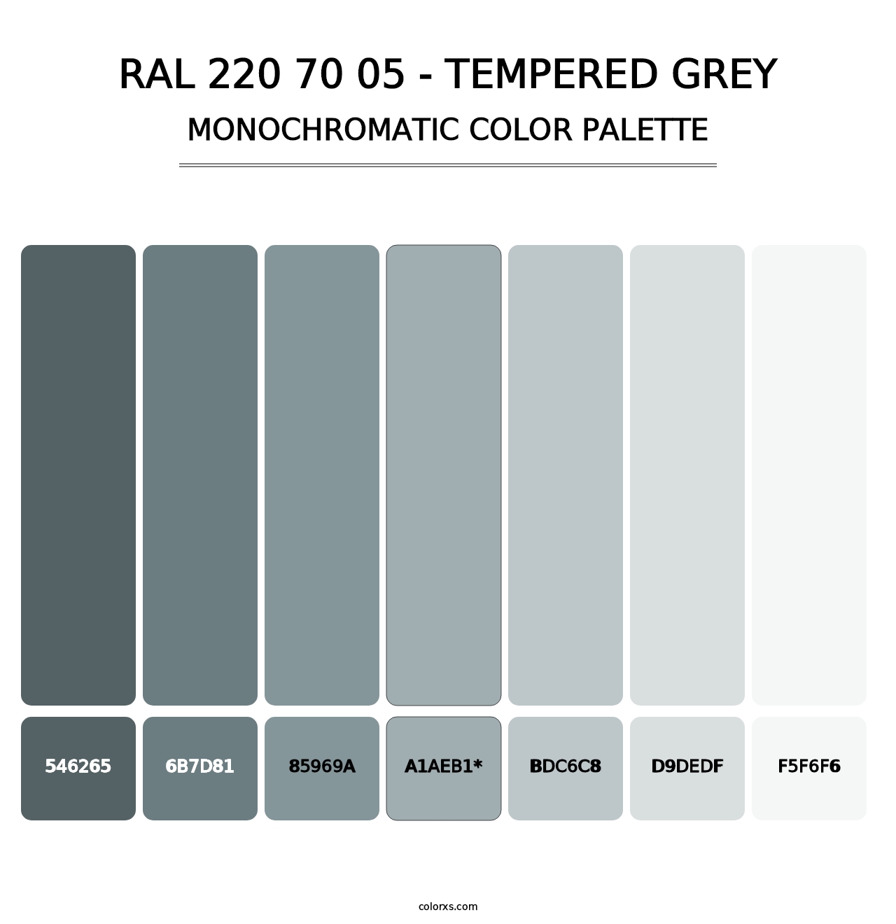 RAL 220 70 05 - Tempered Grey - Monochromatic Color Palette