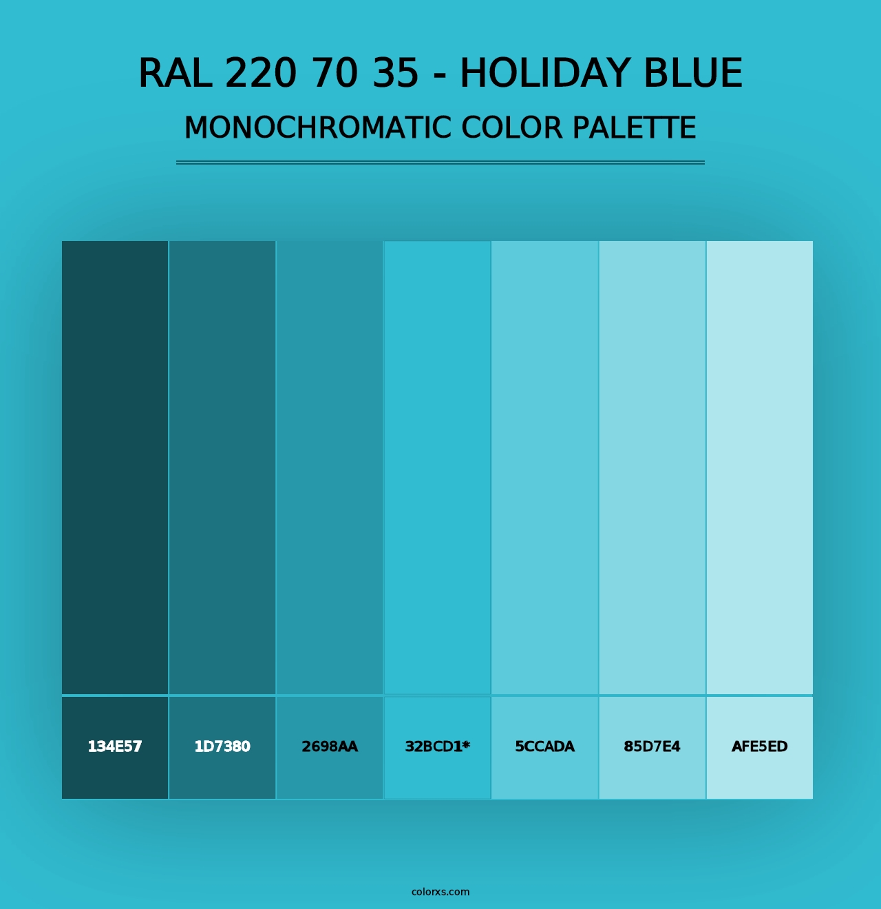 RAL 220 70 35 - Holiday Blue - Monochromatic Color Palette