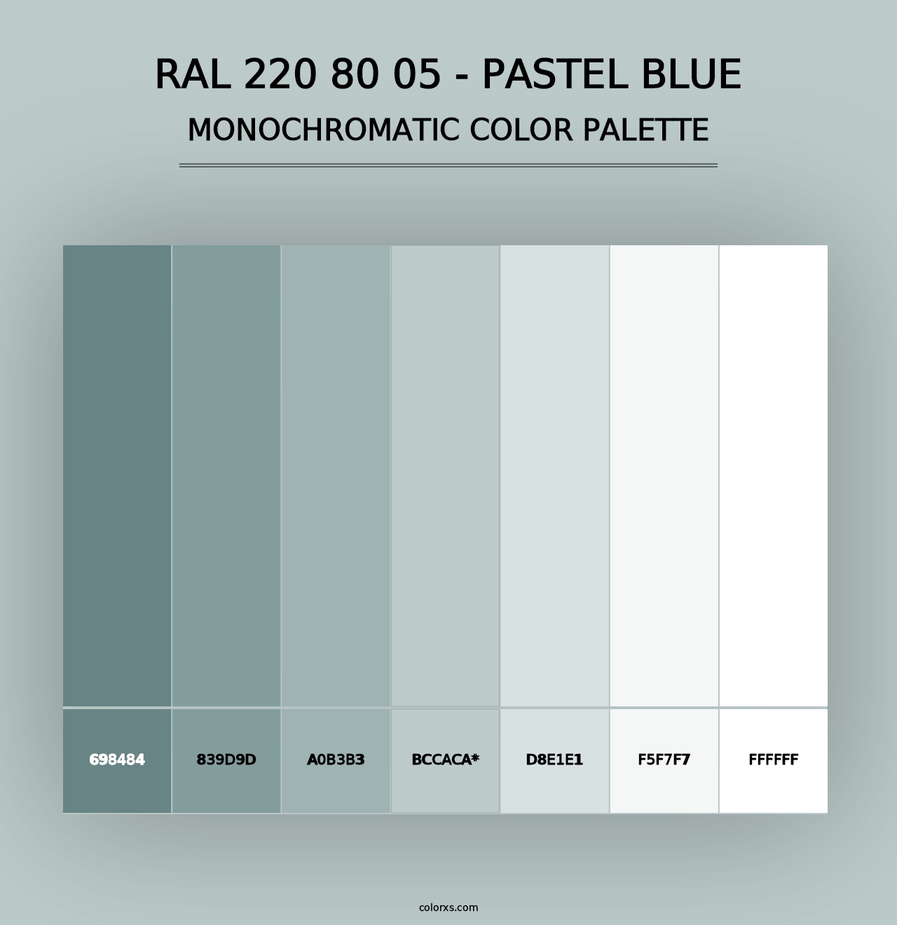 RAL 220 80 05 - Pastel Blue - Monochromatic Color Palette