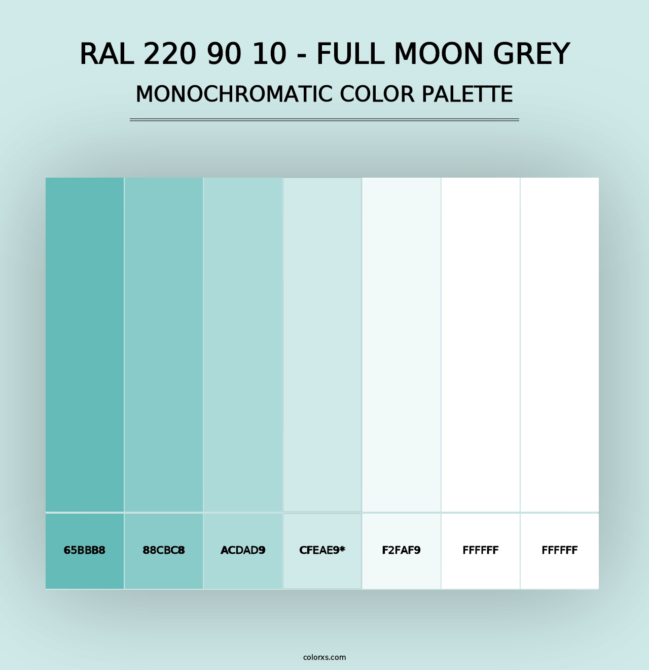 RAL 220 90 10 - Full Moon Grey - Monochromatic Color Palette