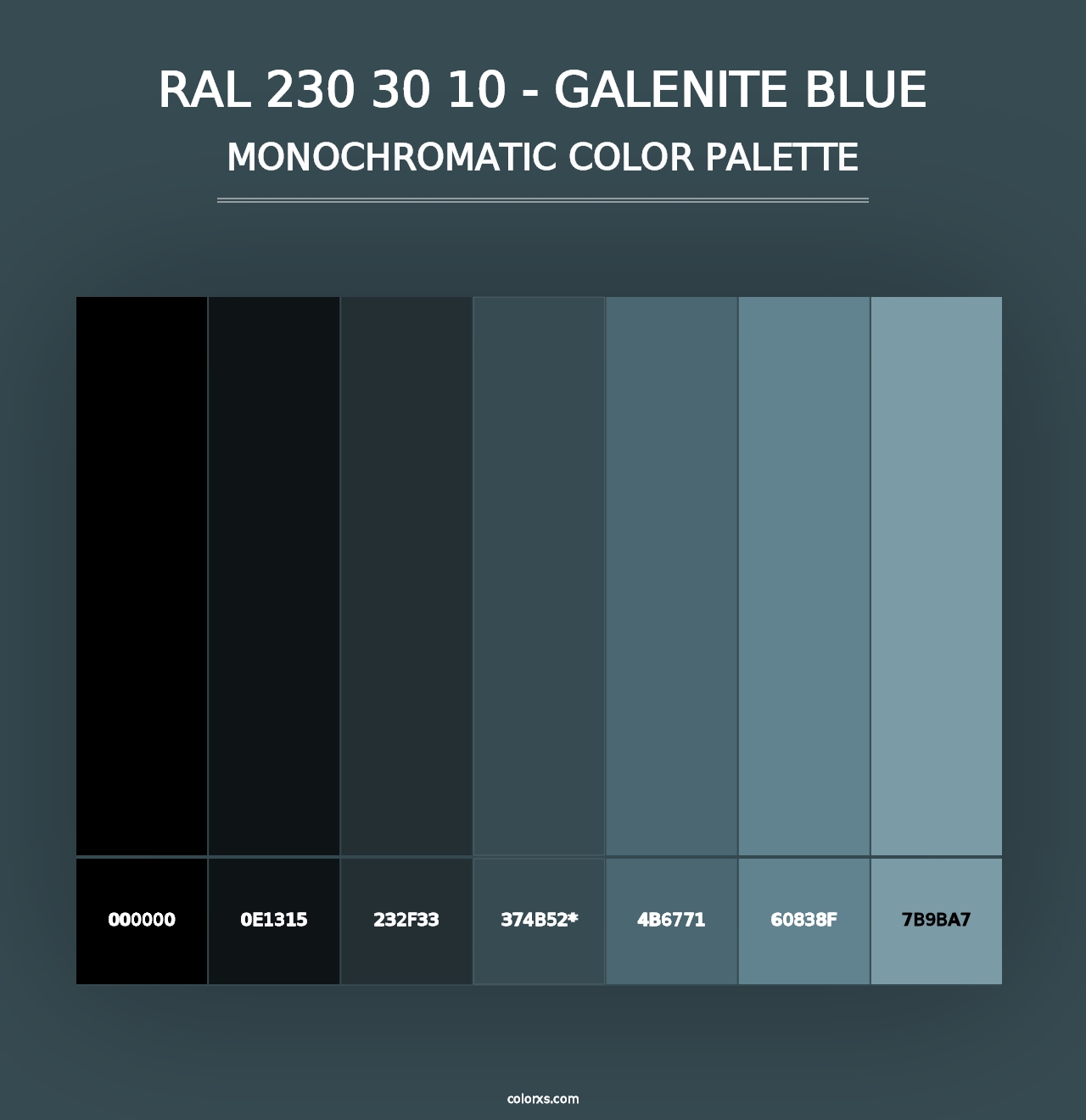 RAL 230 30 10 - Galenite Blue - Monochromatic Color Palette