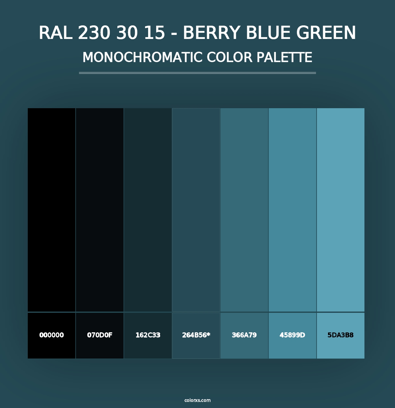 RAL 230 30 15 - Berry Blue Green - Monochromatic Color Palette