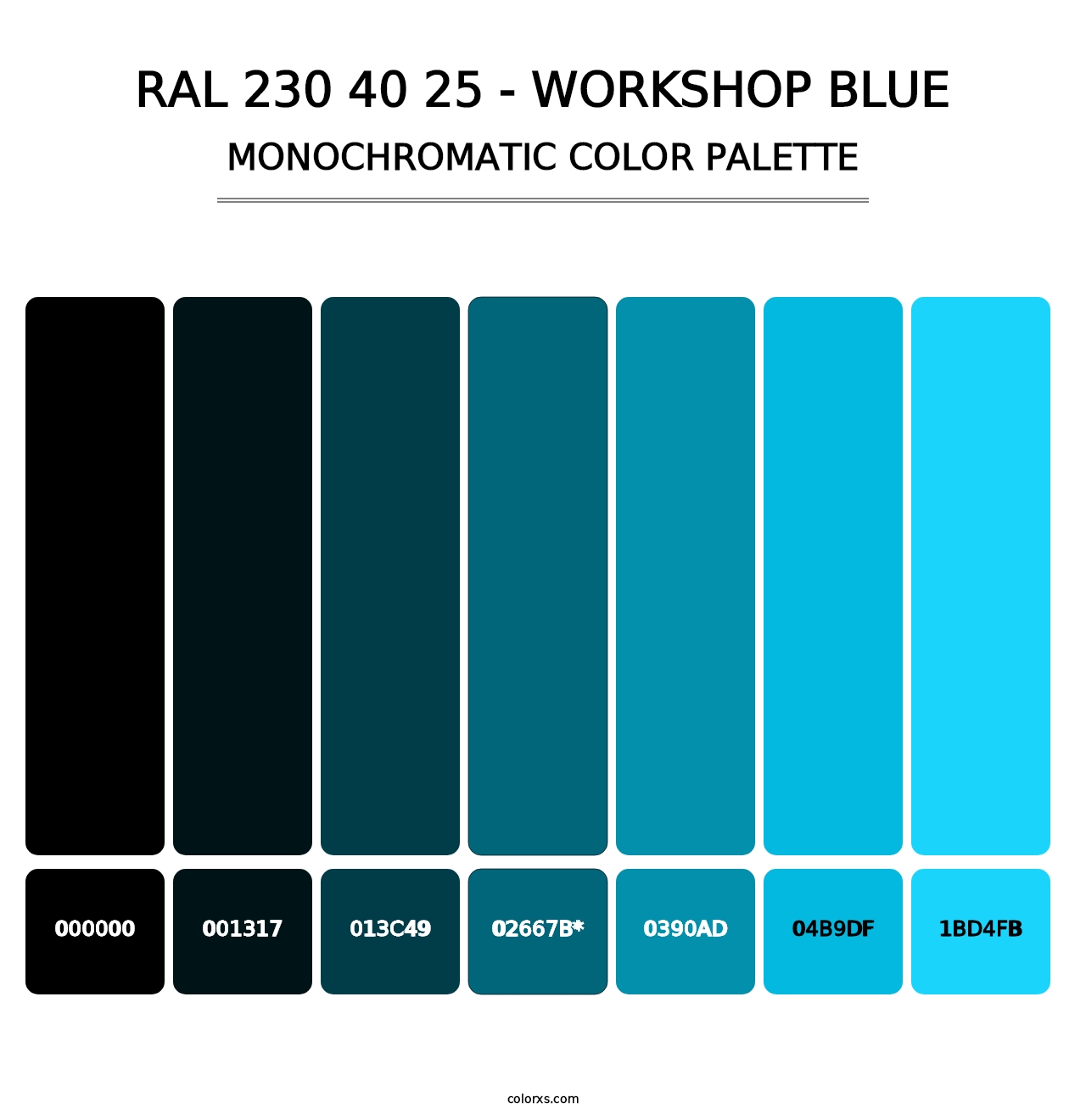 RAL 230 40 25 - Workshop Blue - Monochromatic Color Palette