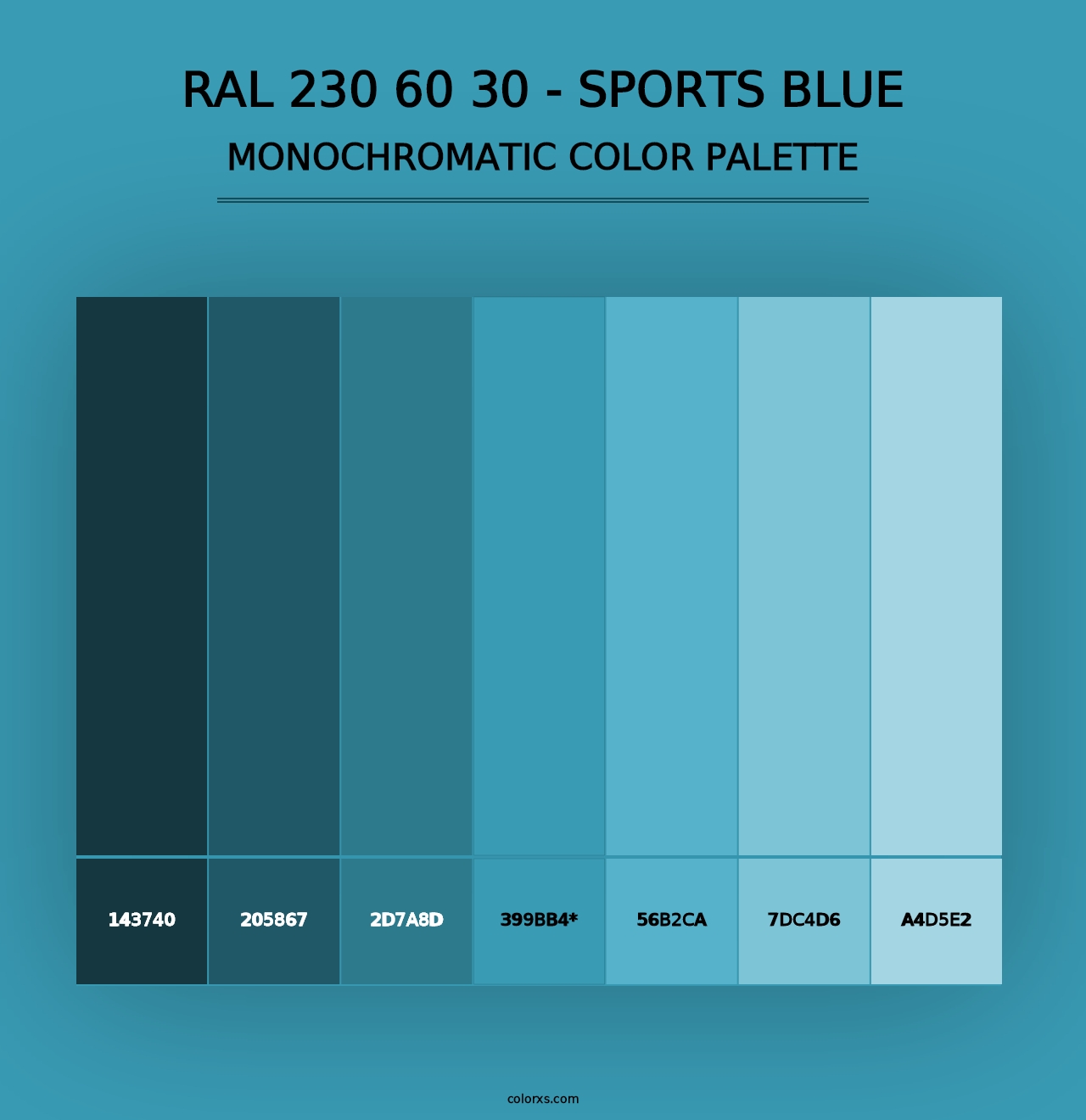 RAL 230 60 30 - Sports Blue - Monochromatic Color Palette