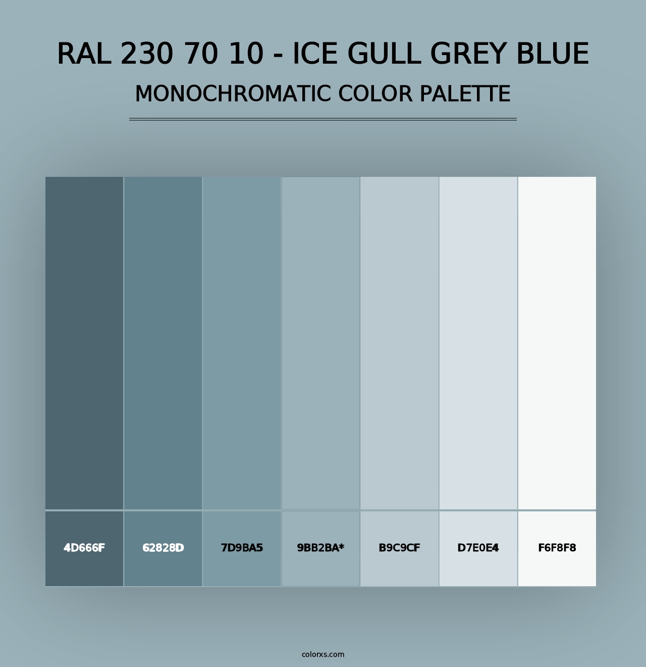 RAL 230 70 10 - Ice Gull Grey Blue - Monochromatic Color Palette