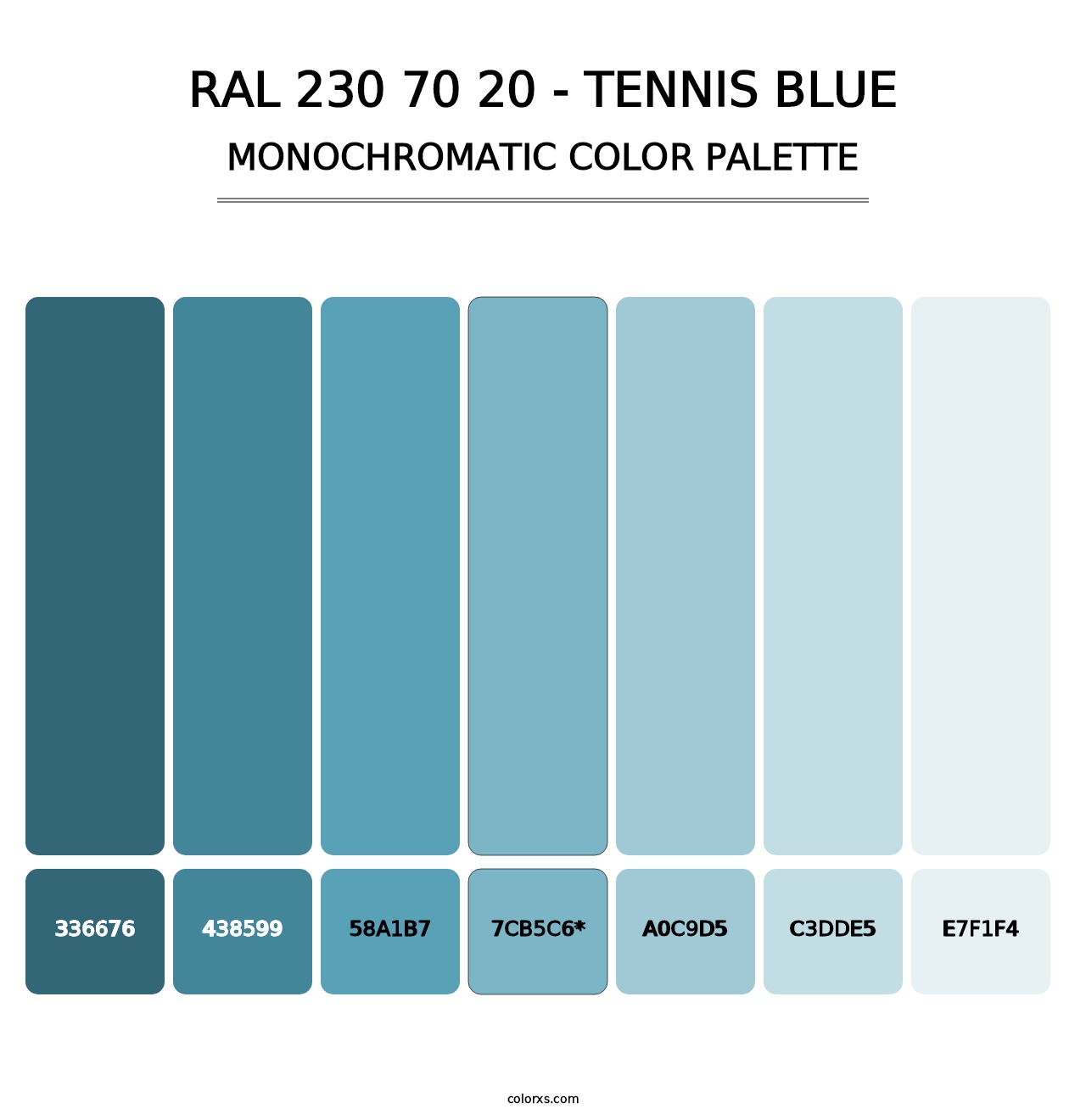 RAL 230 70 20 - Tennis Blue - Monochromatic Color Palette