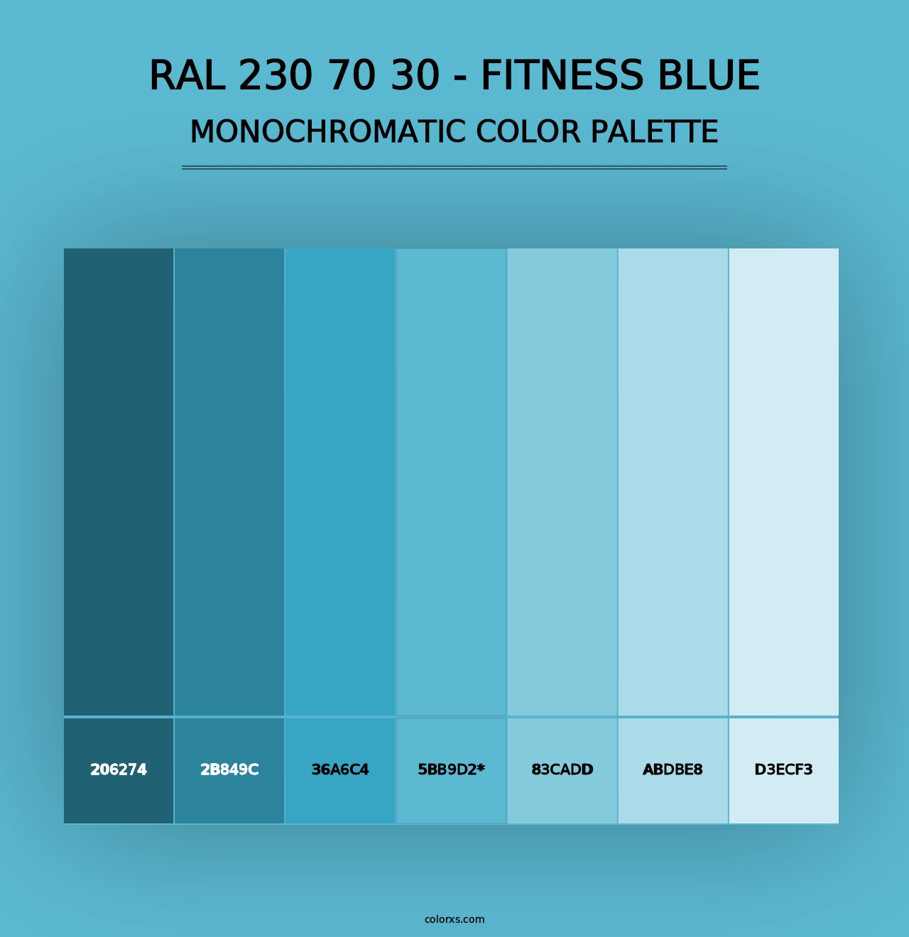 RAL 230 70 30 - Fitness Blue - Monochromatic Color Palette