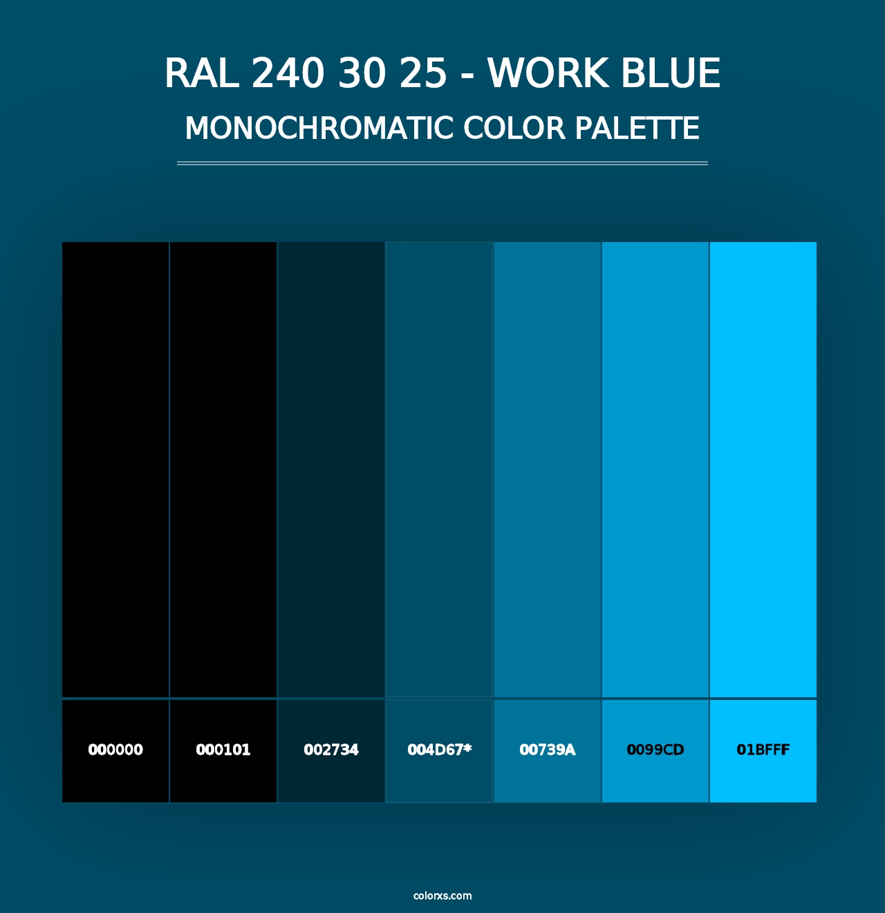 RAL 240 30 25 - Work Blue - Monochromatic Color Palette