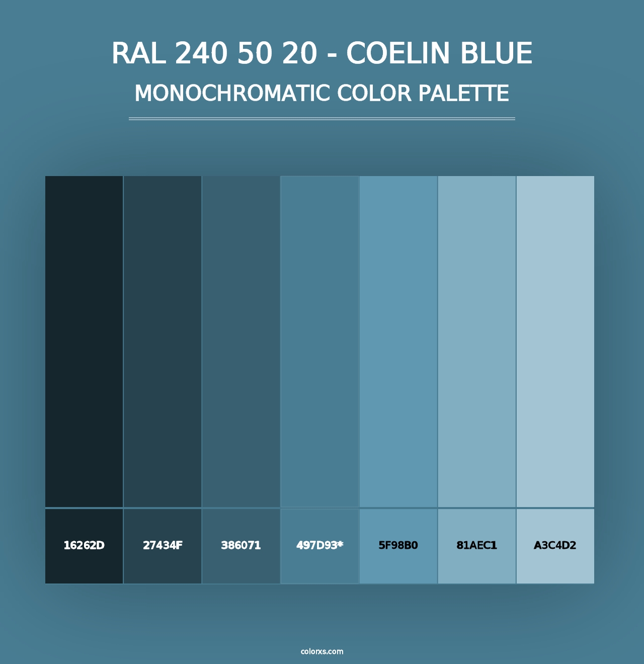 RAL 240 50 20 - Coelin Blue - Monochromatic Color Palette