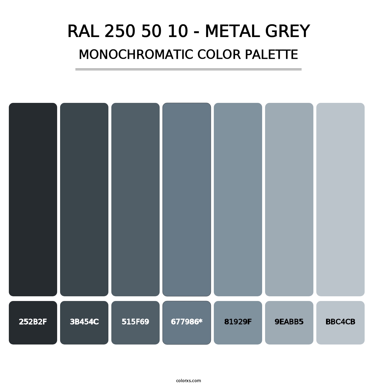 RAL 250 50 10 - Metal Grey - Monochromatic Color Palette