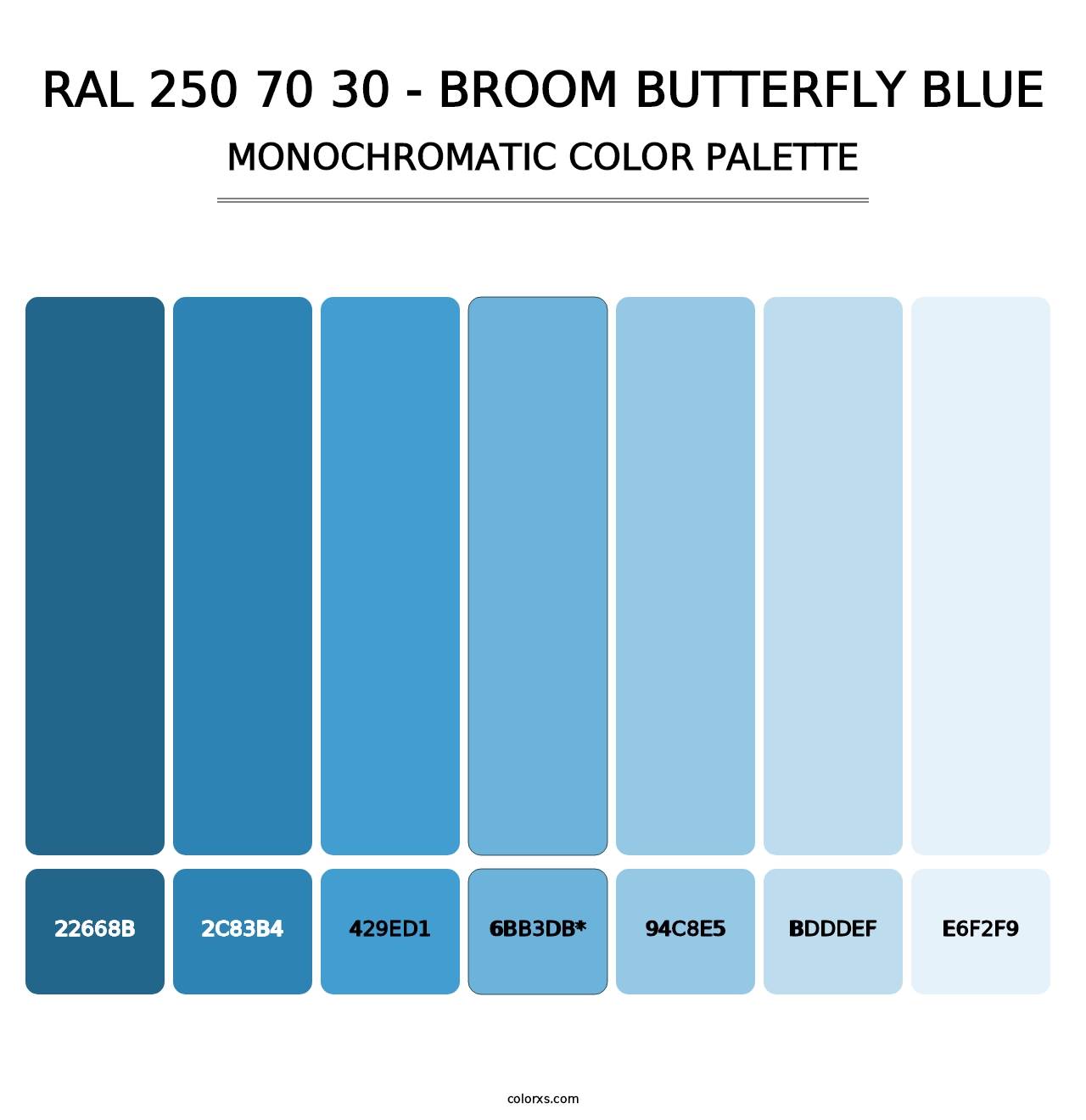 RAL 250 70 30 - Broom Butterfly Blue - Monochromatic Color Palette