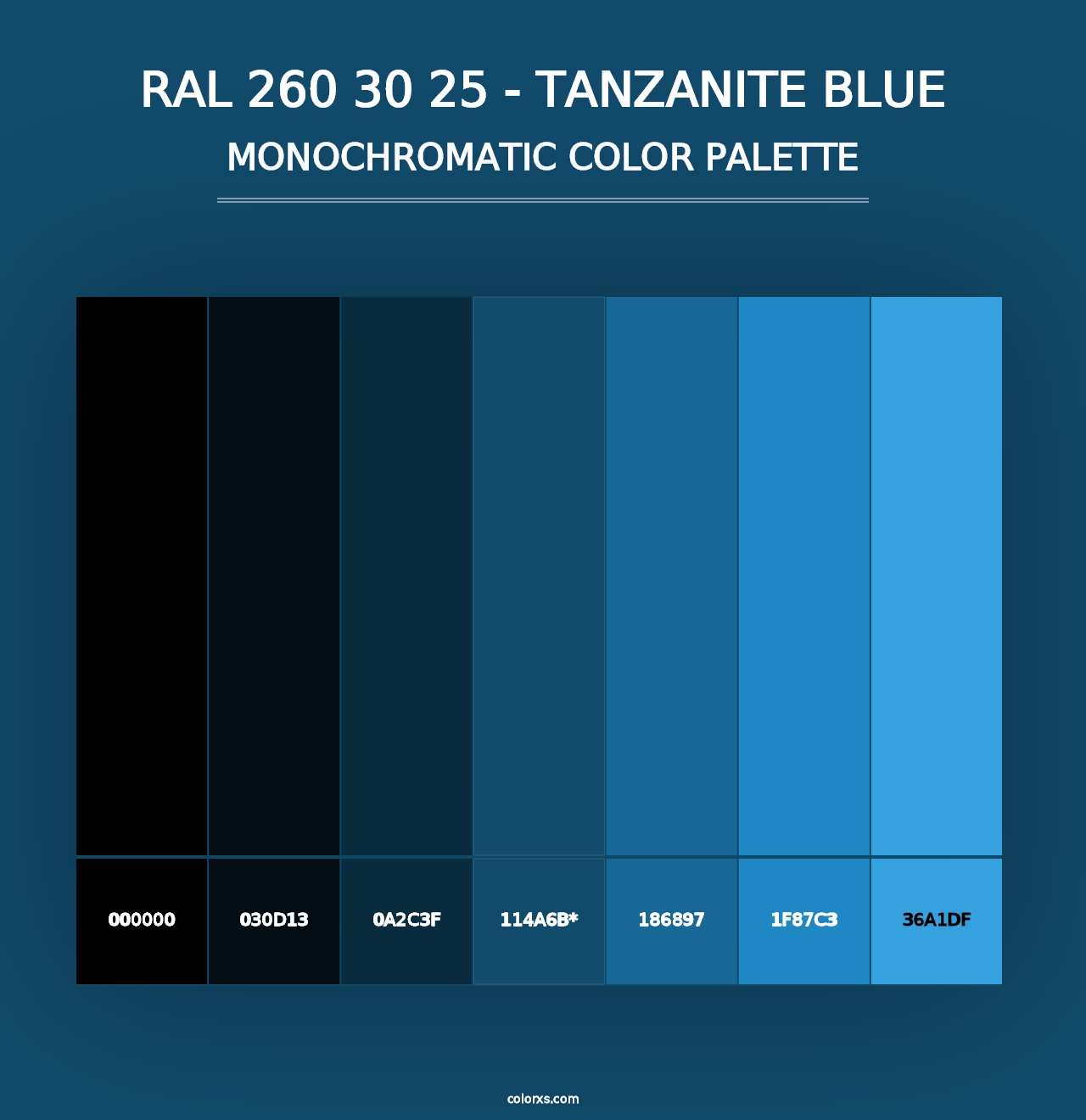 RAL 260 30 25 - Tanzanite Blue - Monochromatic Color Palette