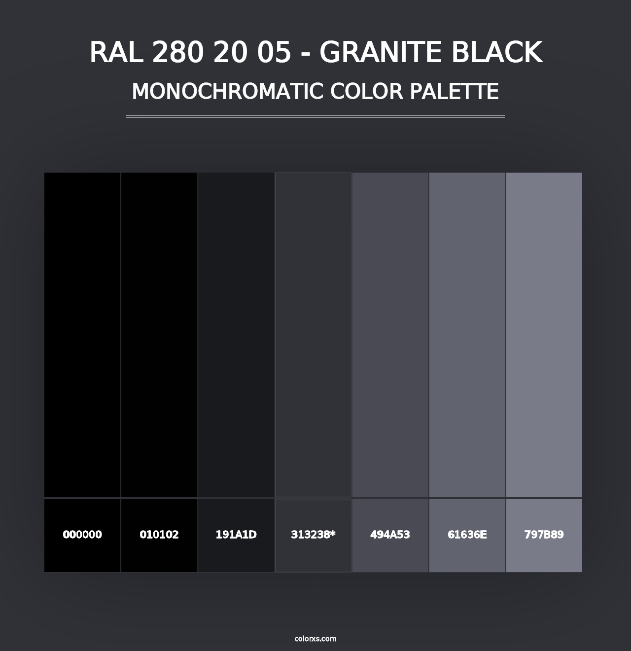 RAL 280 20 05 - Granite Black - Monochromatic Color Palette