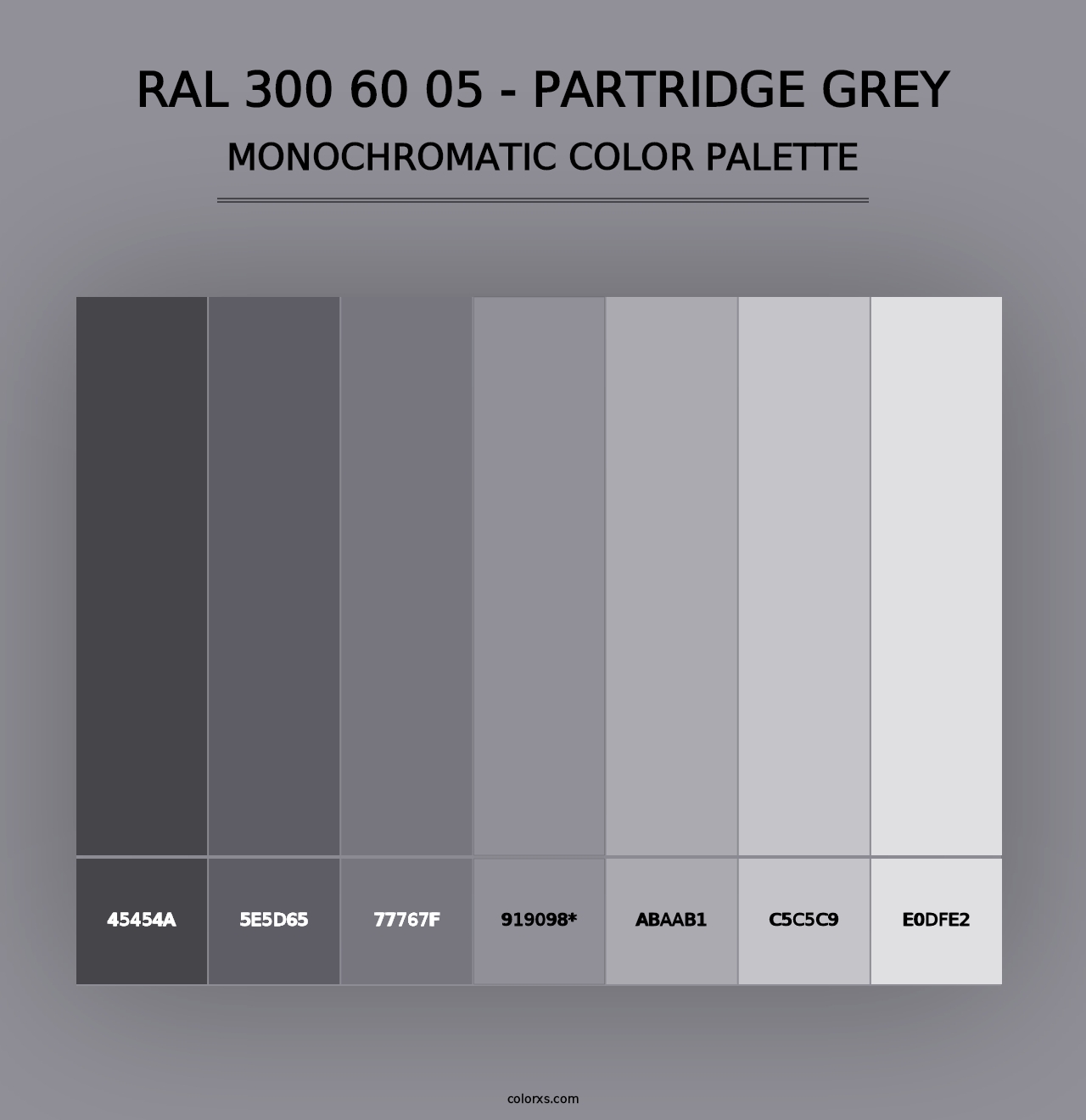 RAL 300 60 05 - Partridge Grey - Monochromatic Color Palette