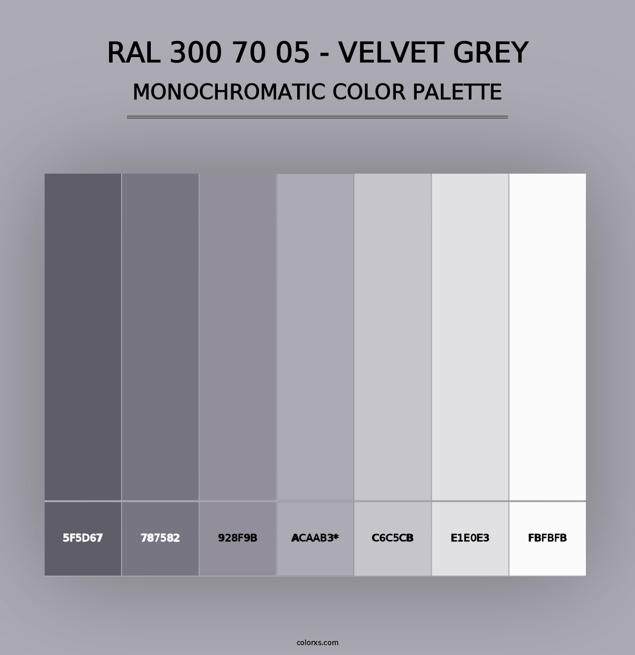 RAL 300 70 05 - Velvet Grey - Monochromatic Color Palette