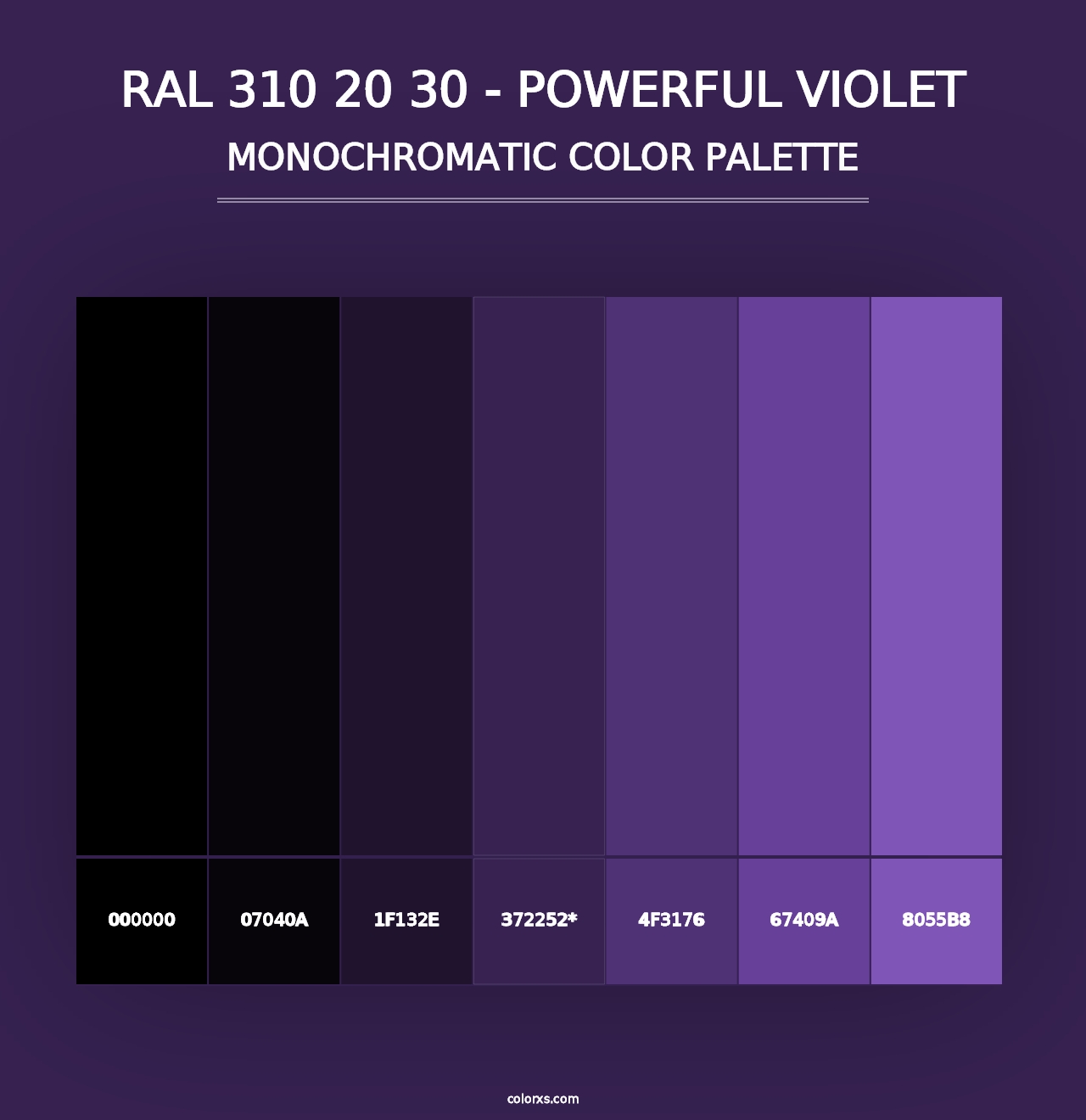 RAL 310 20 30 - Powerful Violet - Monochromatic Color Palette