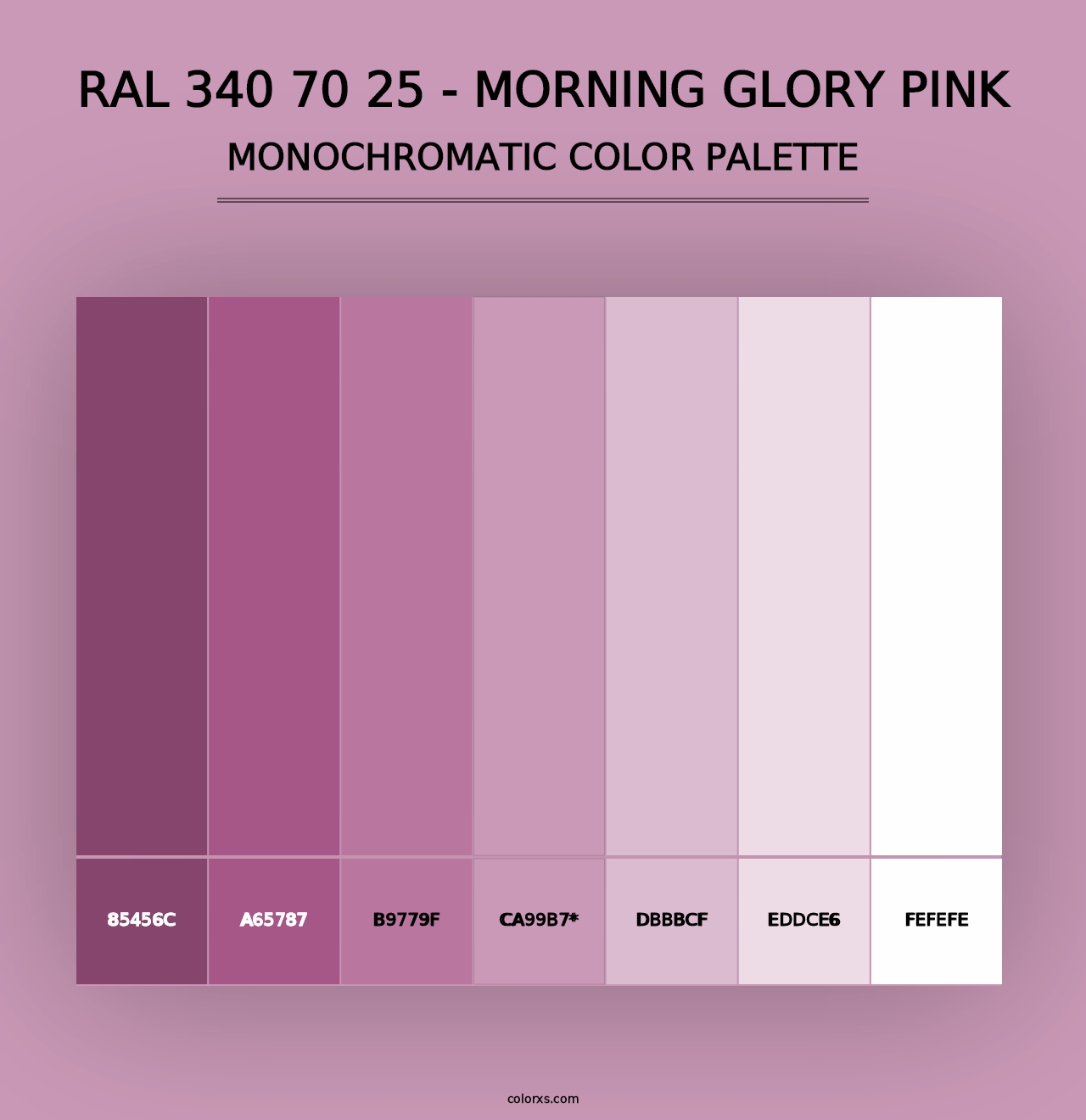 RAL 340 70 25 - Morning Glory Pink - Monochromatic Color Palette