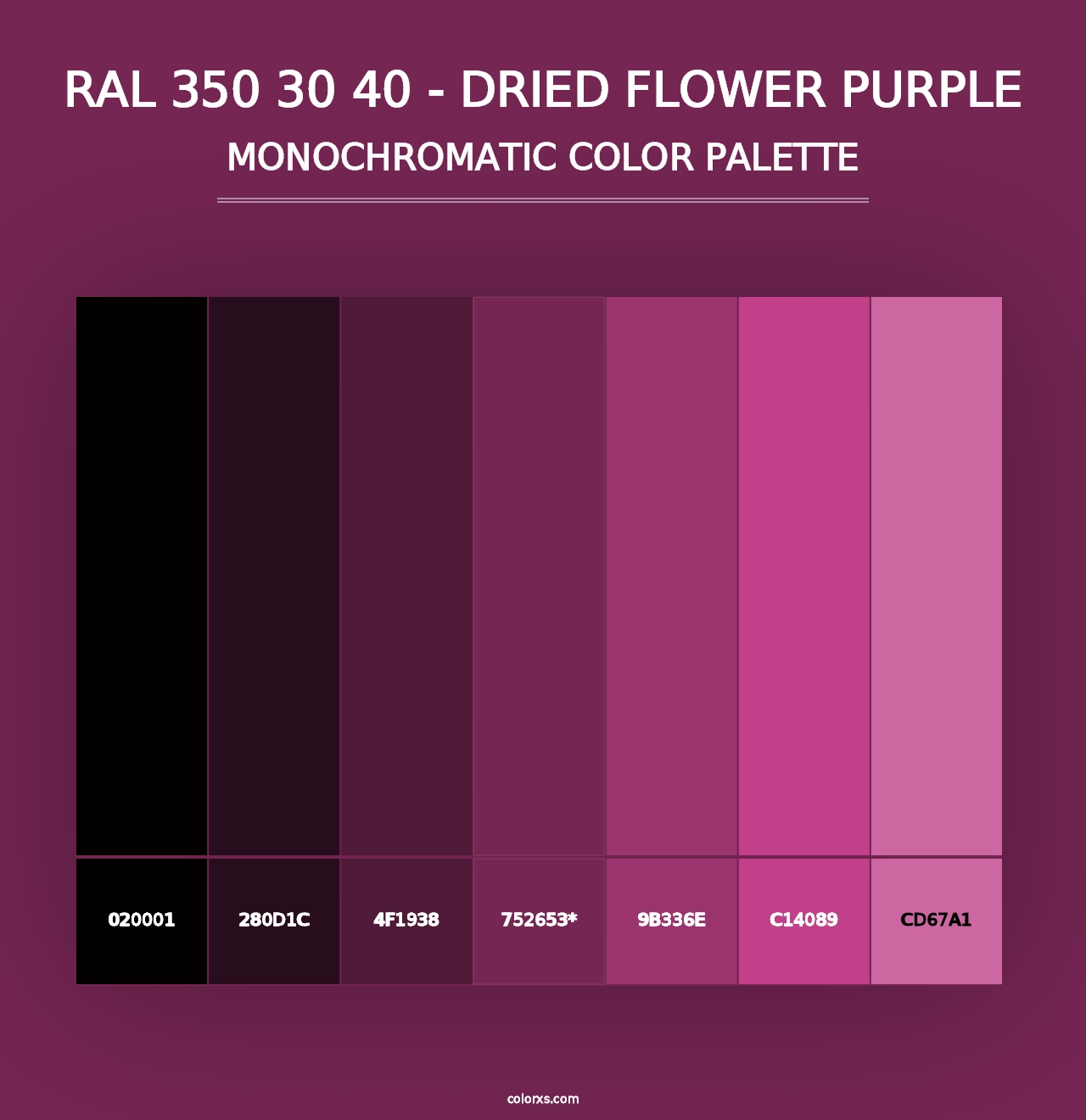 RAL 350 30 40 - Dried Flower Purple - Monochromatic Color Palette