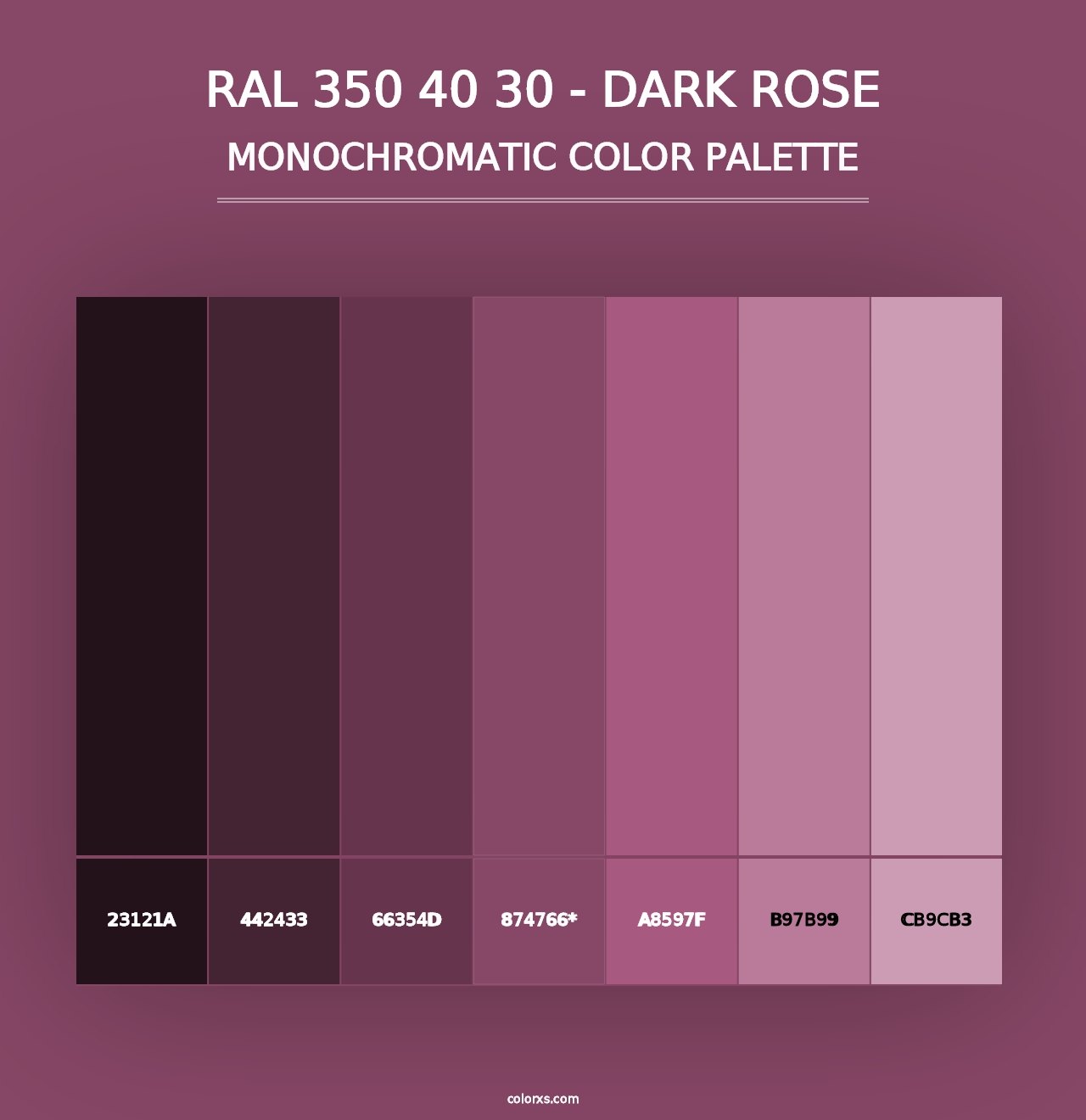 RAL 350 40 30 - Dark Rose - Monochromatic Color Palette