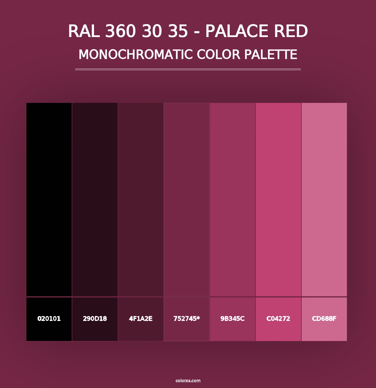 RAL 360 30 35 - Palace Red - Monochromatic Color Palette