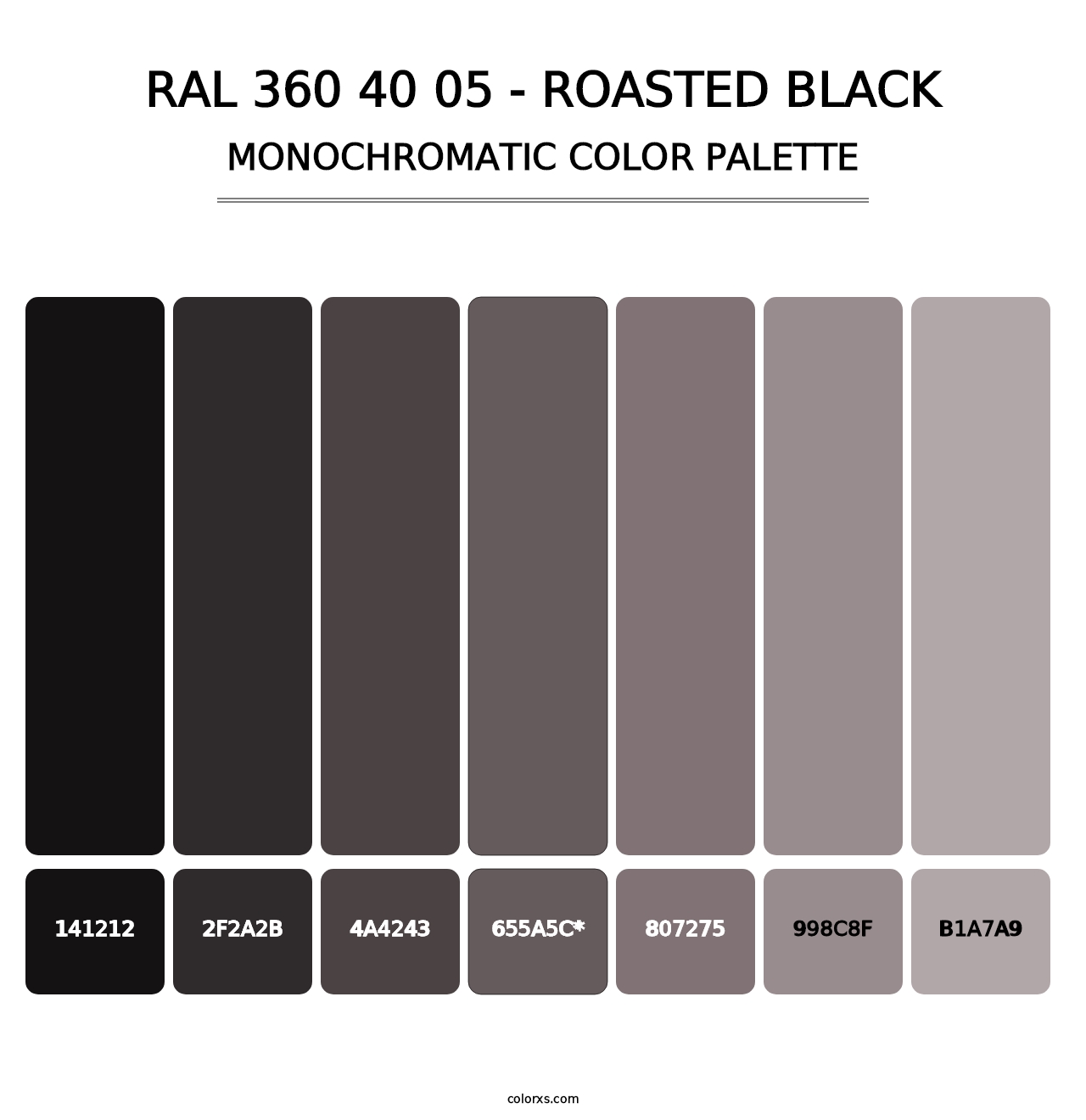 RAL 360 40 05 - Roasted Black - Monochromatic Color Palette