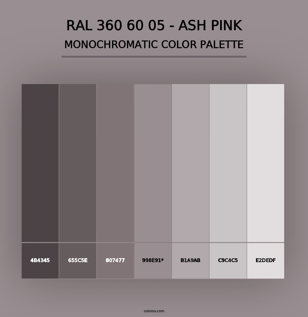 RAL 360 60 05 - Ash Pink - Monochromatic Color Palette