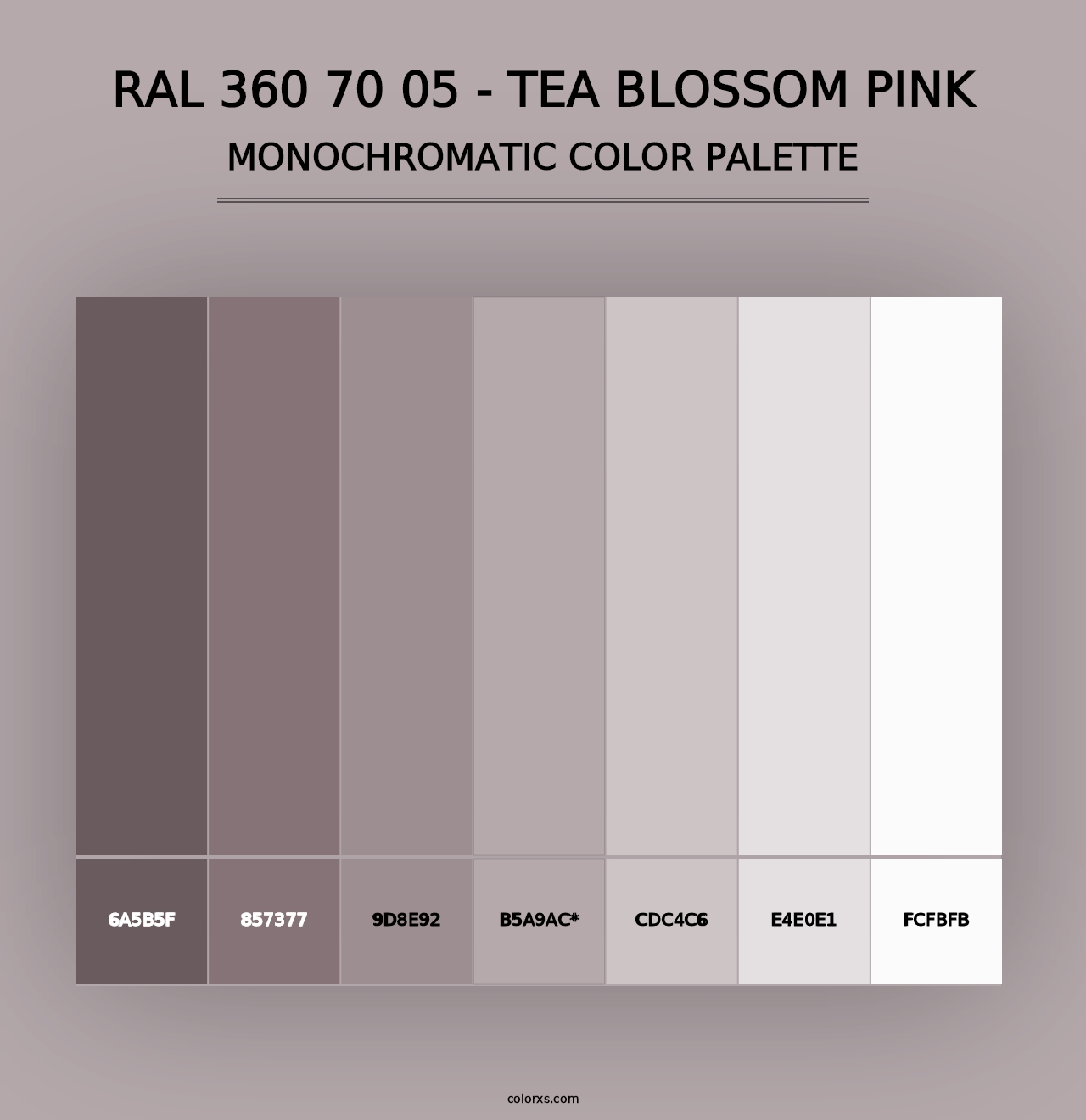 RAL 360 70 05 - Tea Blossom Pink - Monochromatic Color Palette