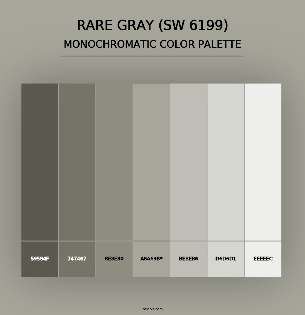 Rare Gray (SW 6199) - Monochromatic Color Palette