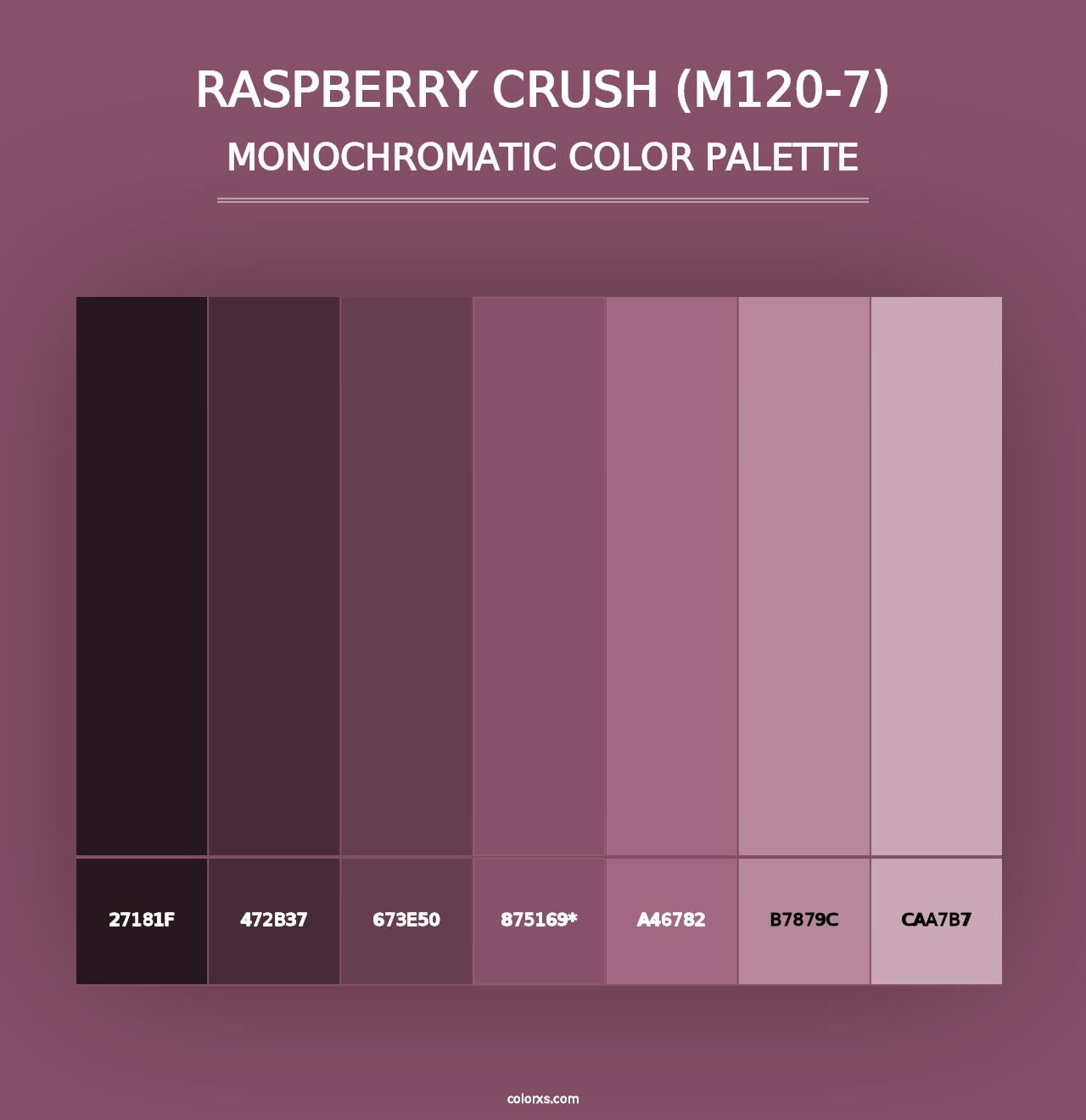 Raspberry Crush (M120-7) - Monochromatic Color Palette