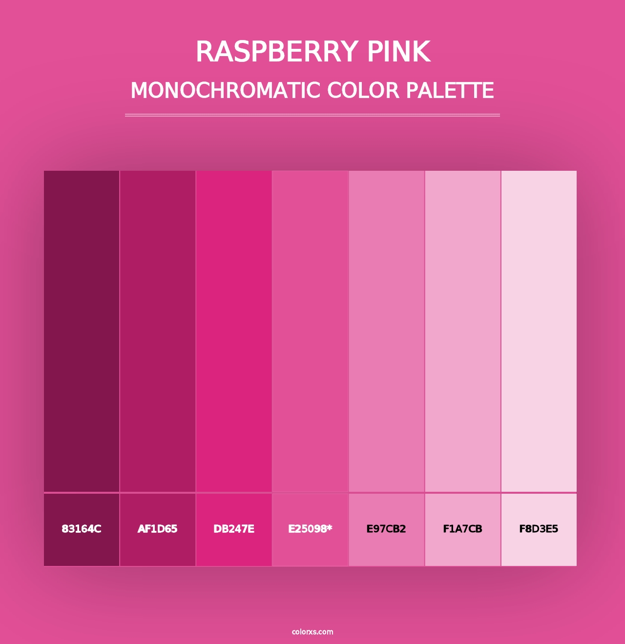 Raspberry Pink - Monochromatic Color Palette