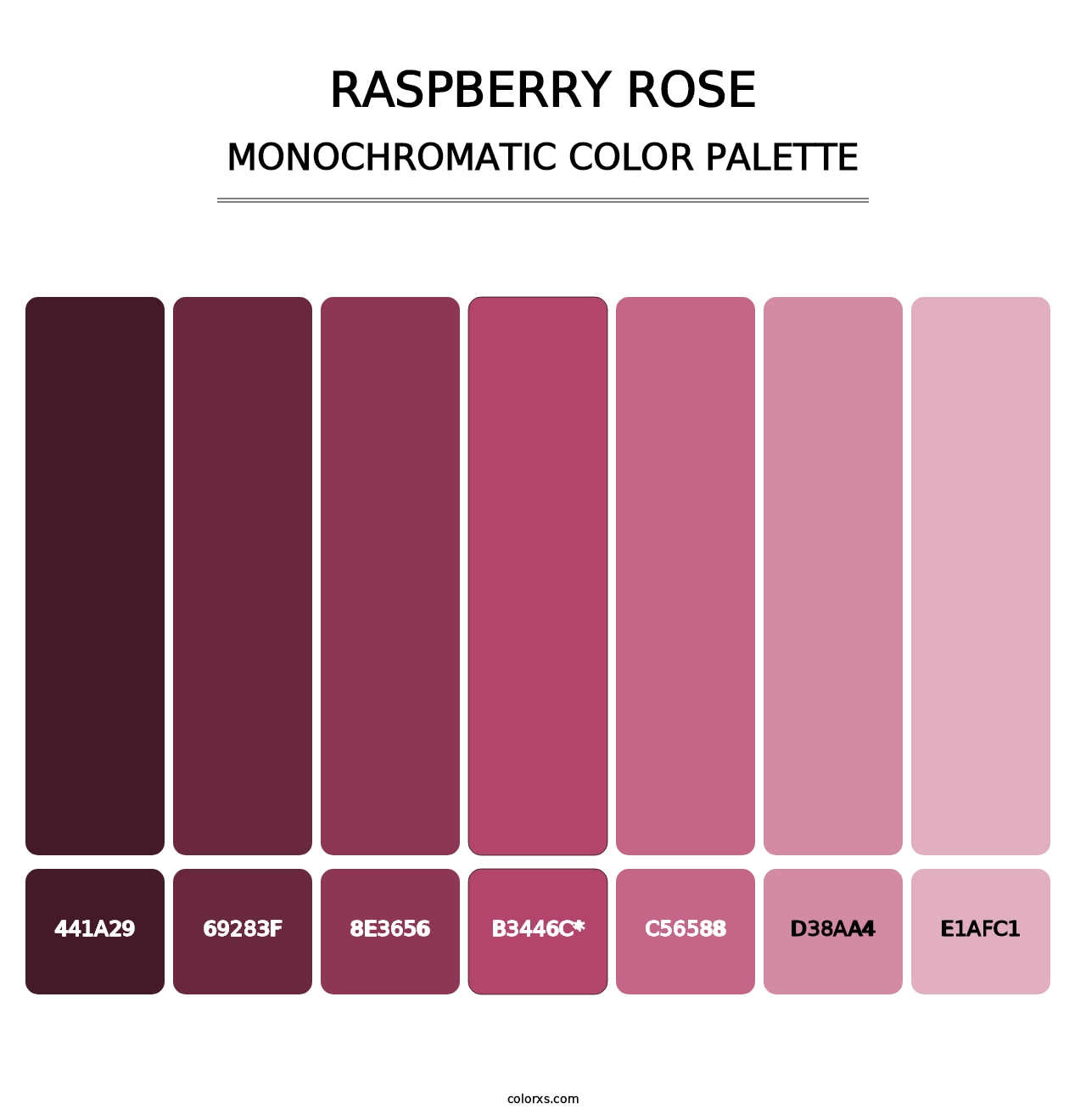 Raspberry Rose - Monochromatic Color Palette