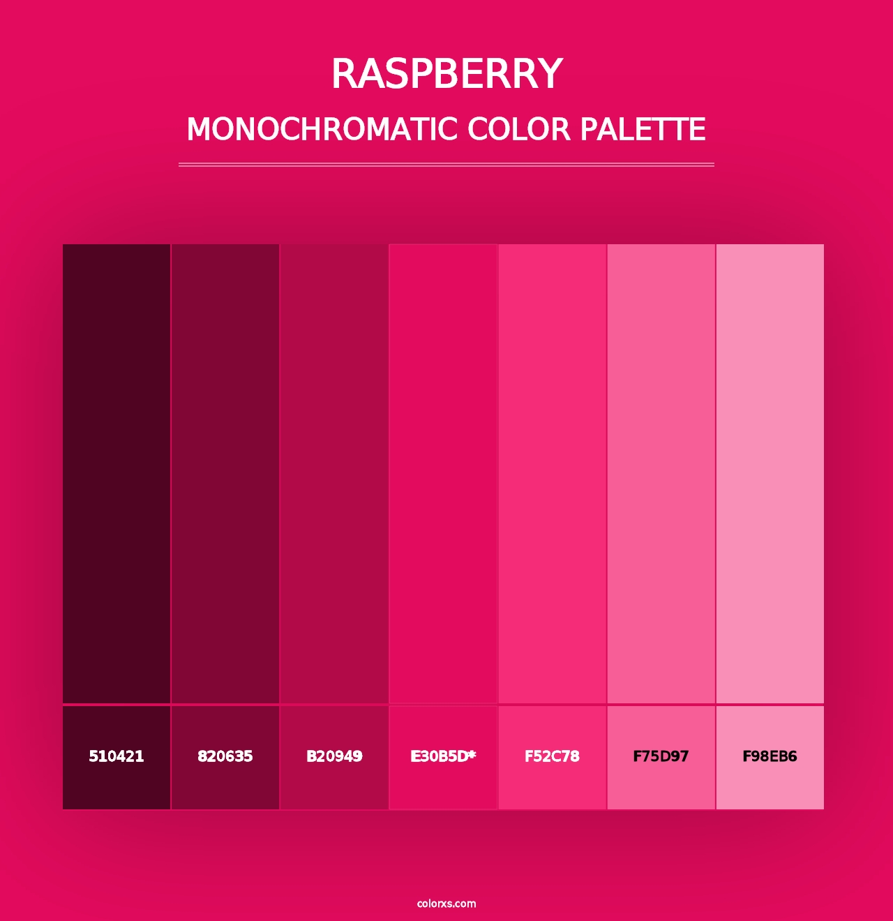 Raspberry - Monochromatic Color Palette