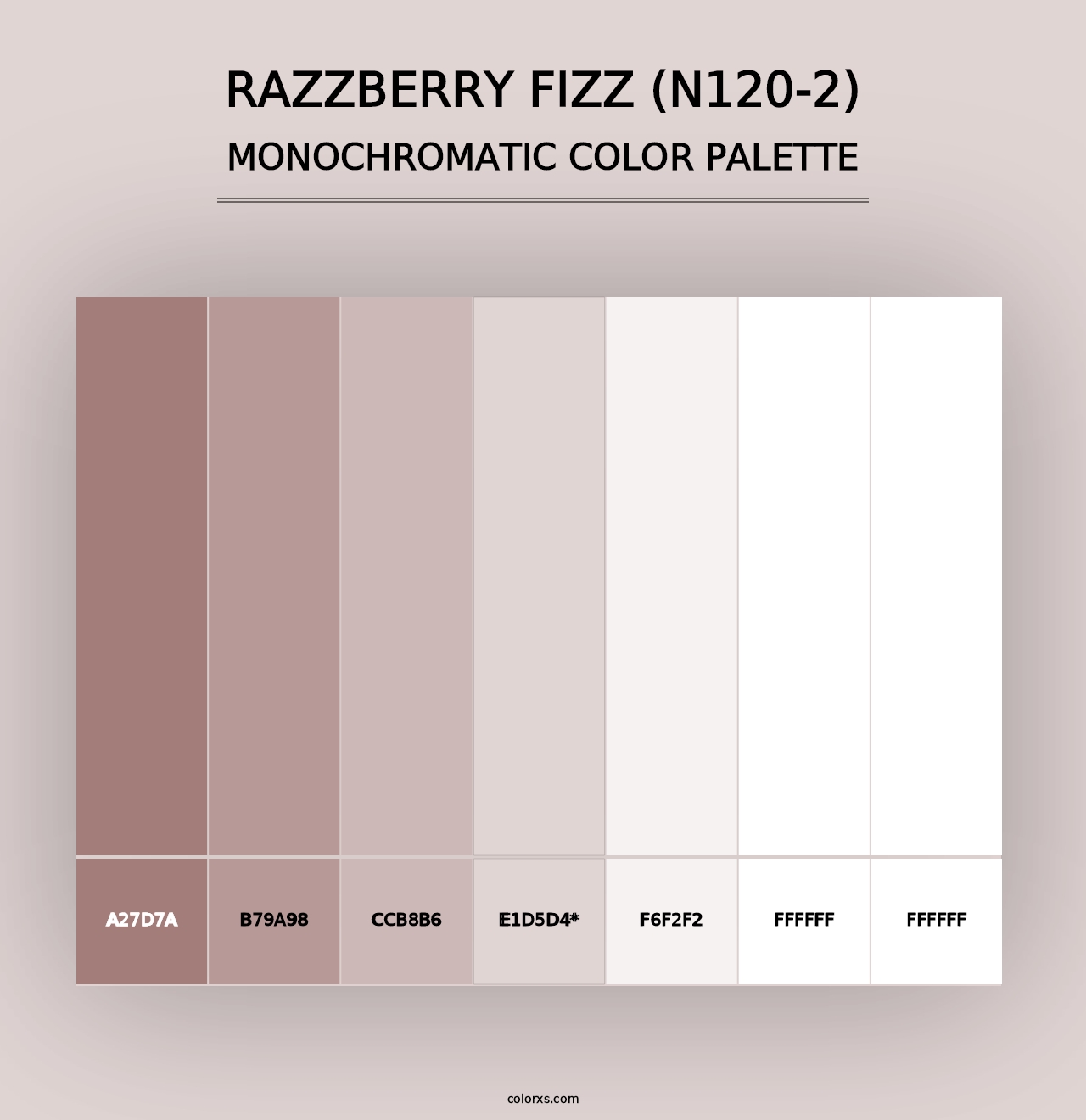 Razzberry Fizz (N120-2) - Monochromatic Color Palette