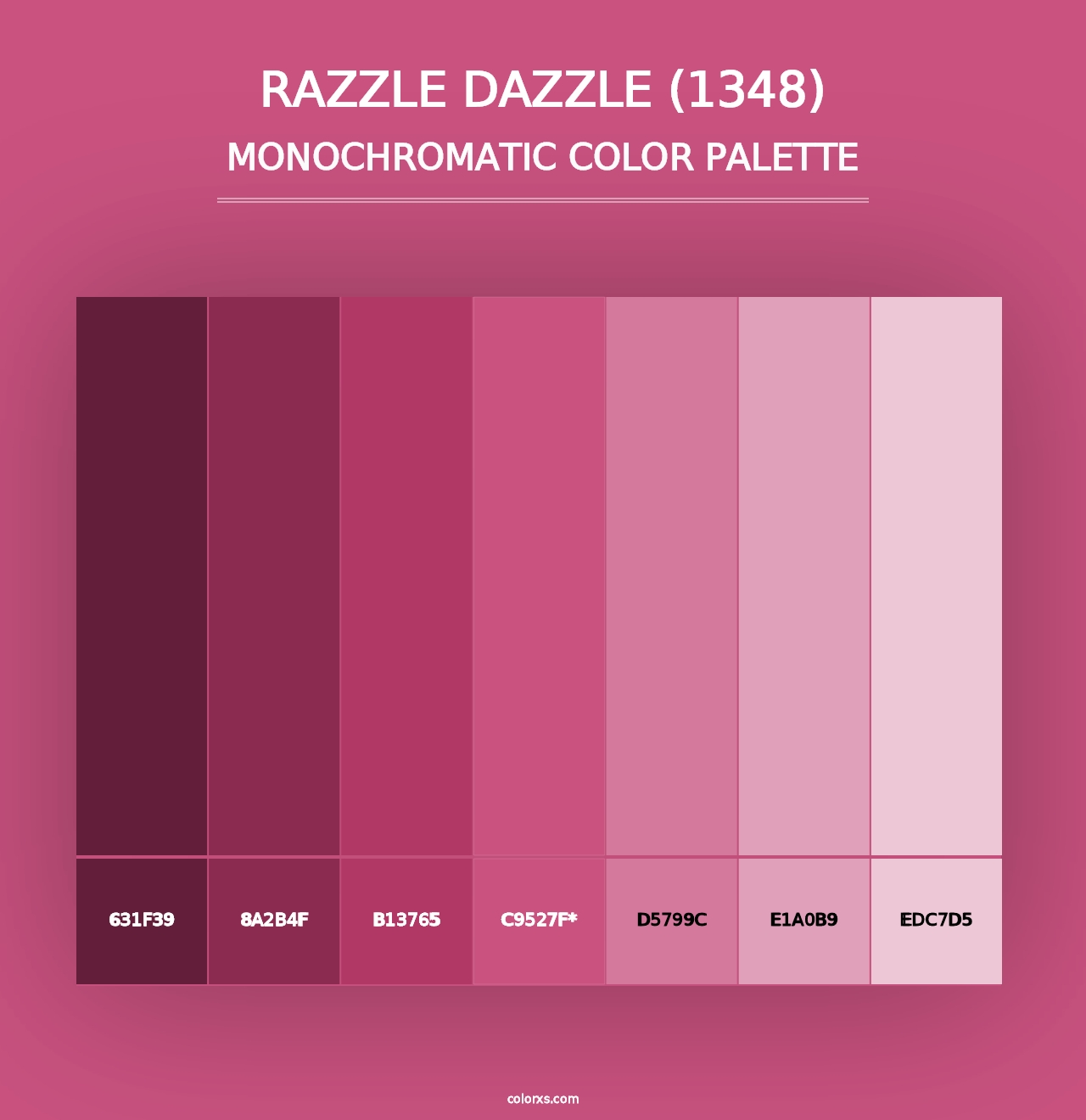 Razzle Dazzle (1348) - Monochromatic Color Palette