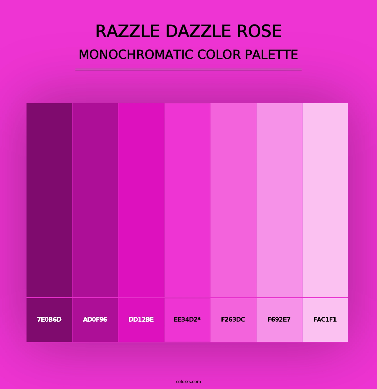 Razzle Dazzle Rose - Monochromatic Color Palette