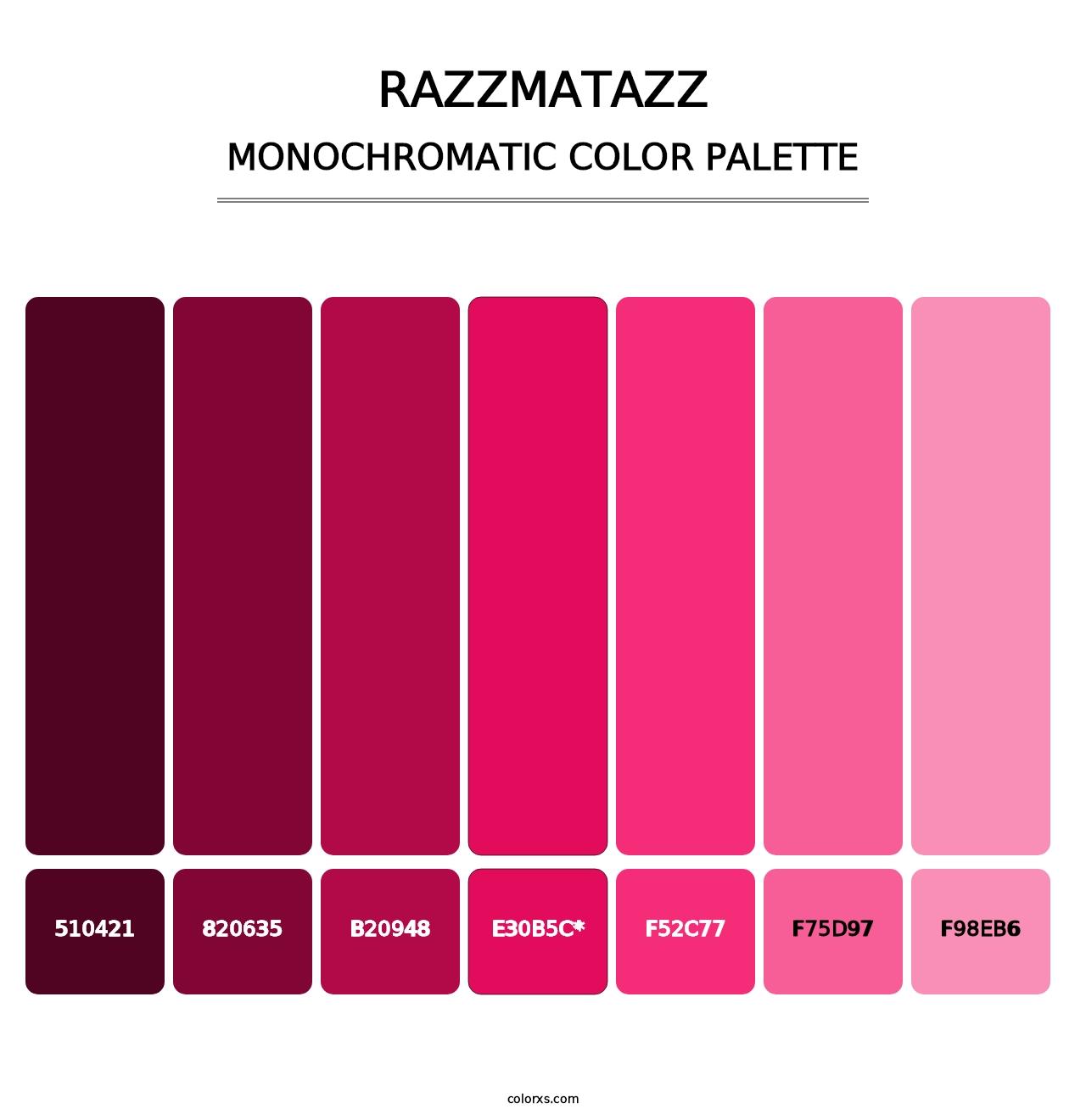 Razzmatazz - Monochromatic Color Palette