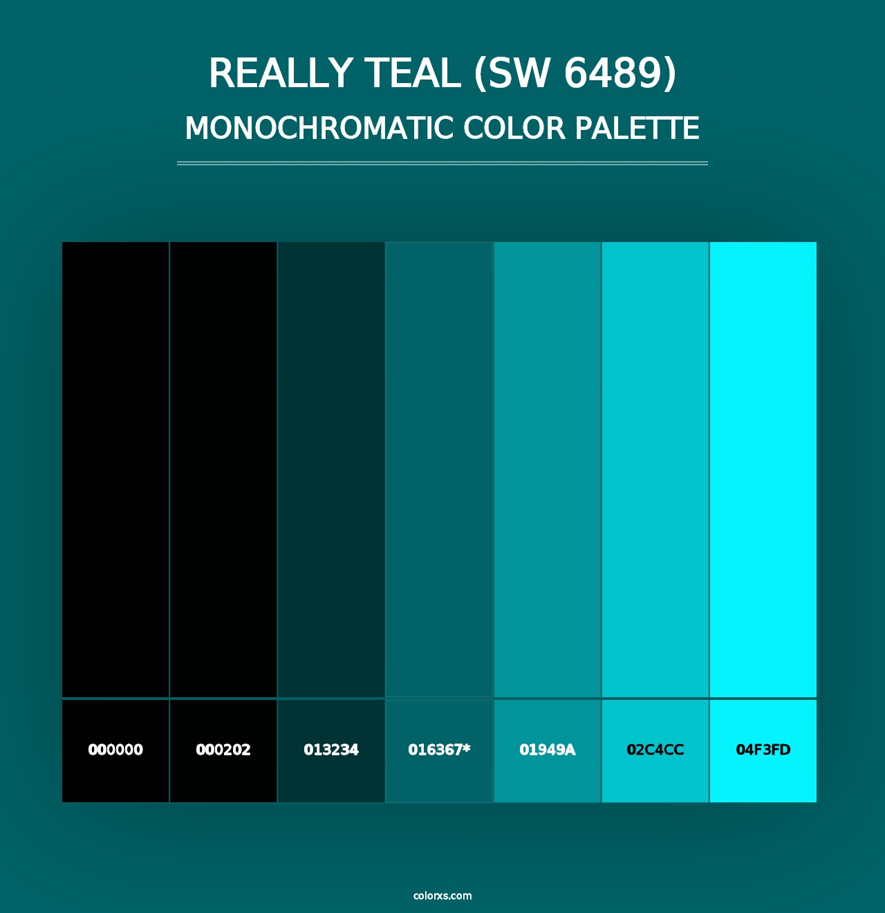 Really Teal (SW 6489) - Monochromatic Color Palette