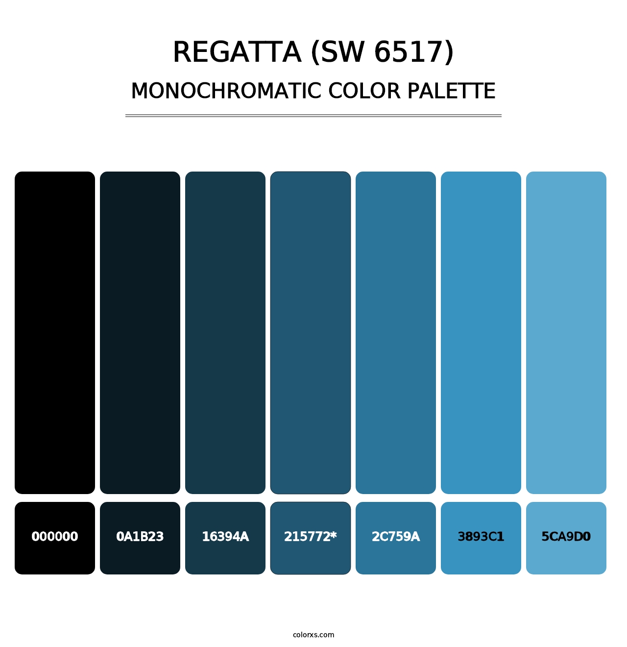 Regatta (SW 6517) - Monochromatic Color Palette