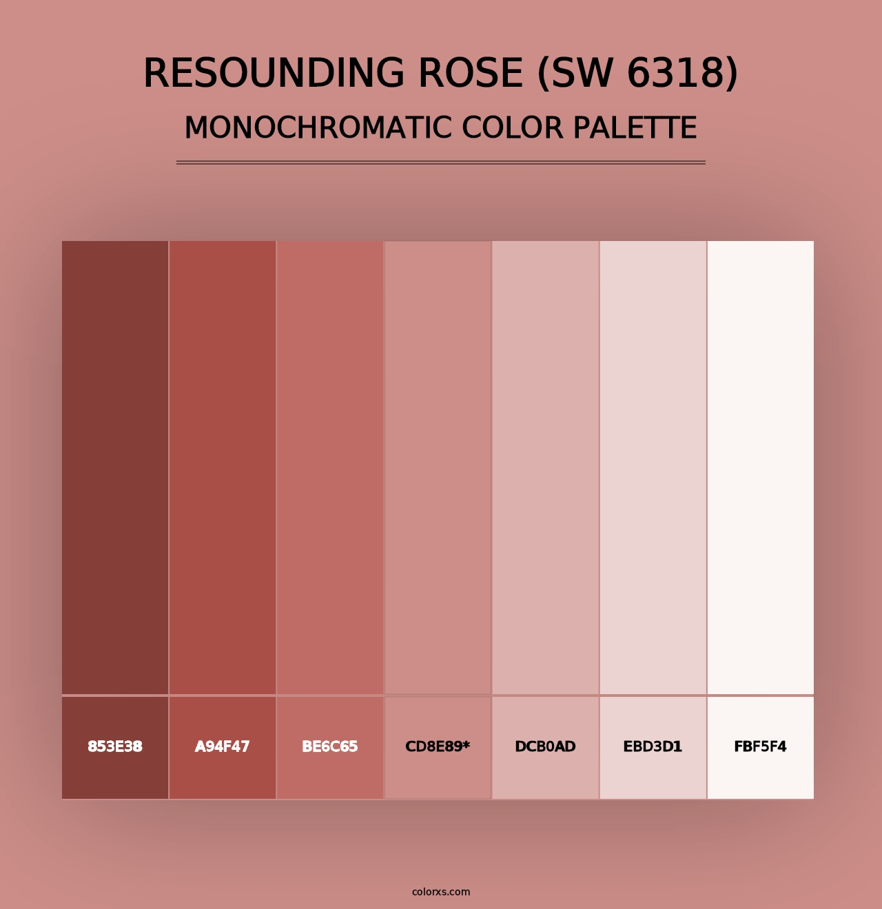 Resounding Rose (SW 6318) - Monochromatic Color Palette