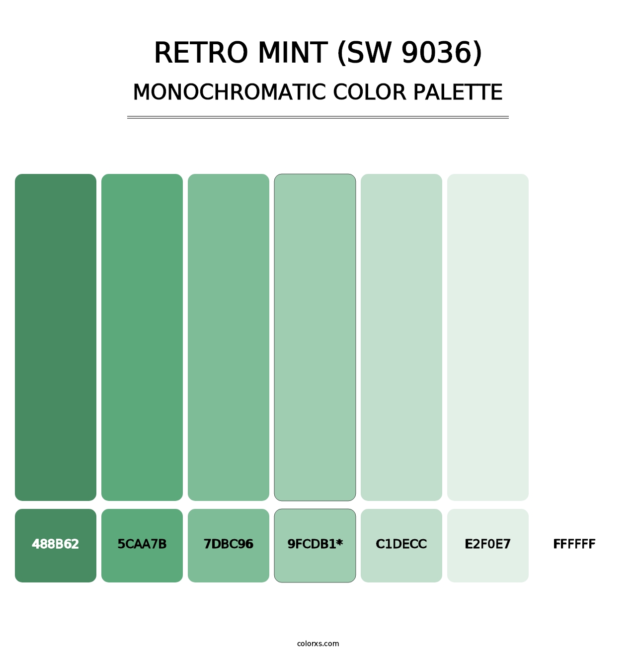 Retro Mint (SW 9036) - Monochromatic Color Palette