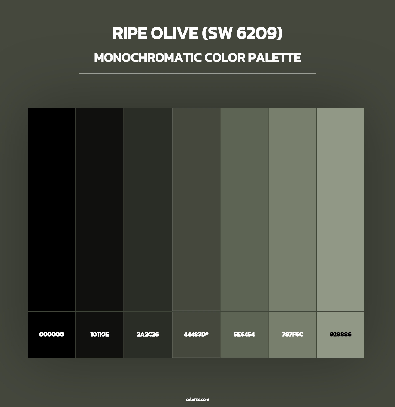 Ripe Olive (SW 6209) - Monochromatic Color Palette